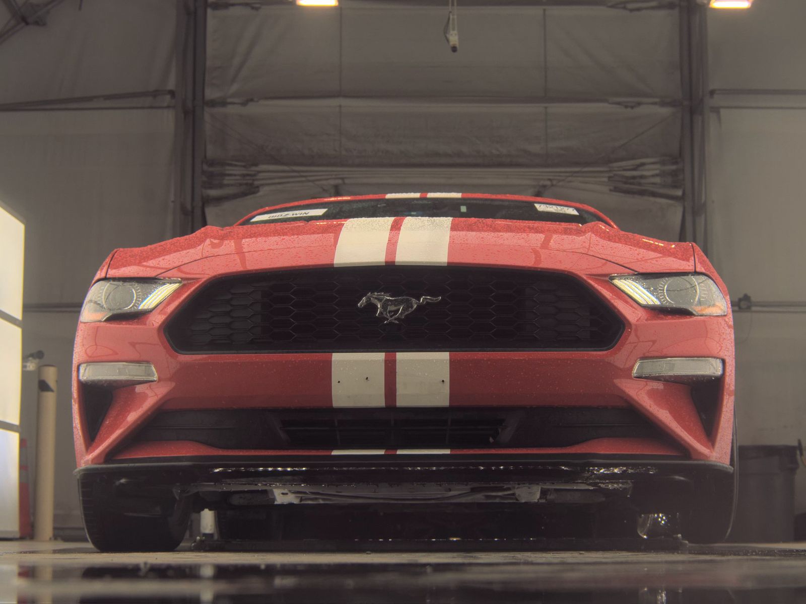 2021 Ford Mustang EcoBoost RWD
