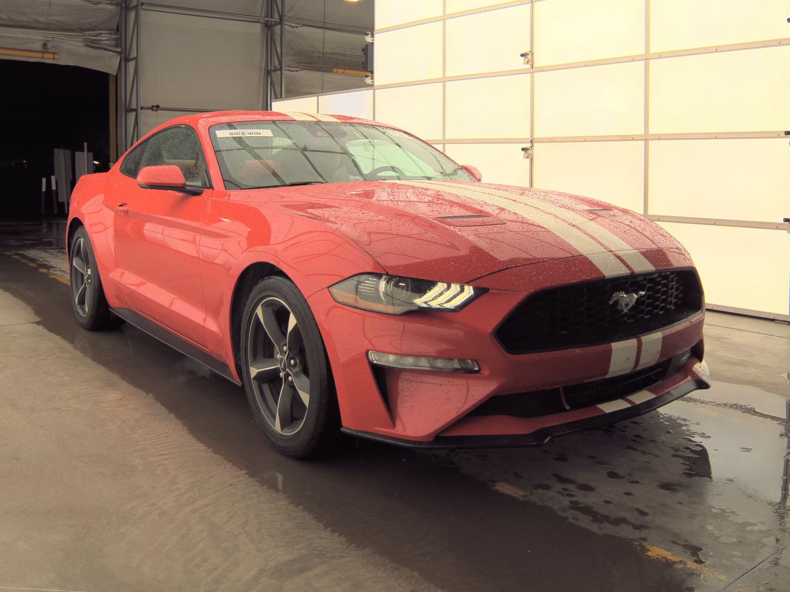 2021 Ford Mustang EcoBoost RWD