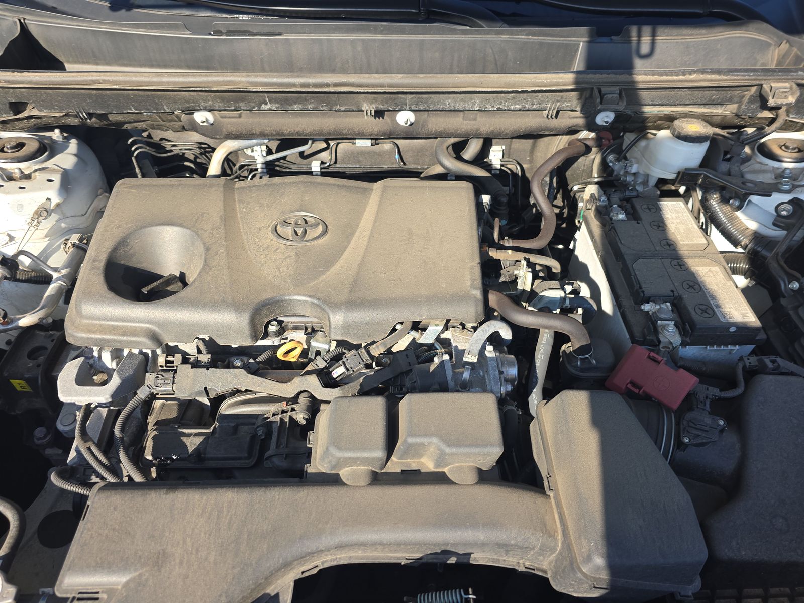 2024 Toyota RAV4 LE AWD