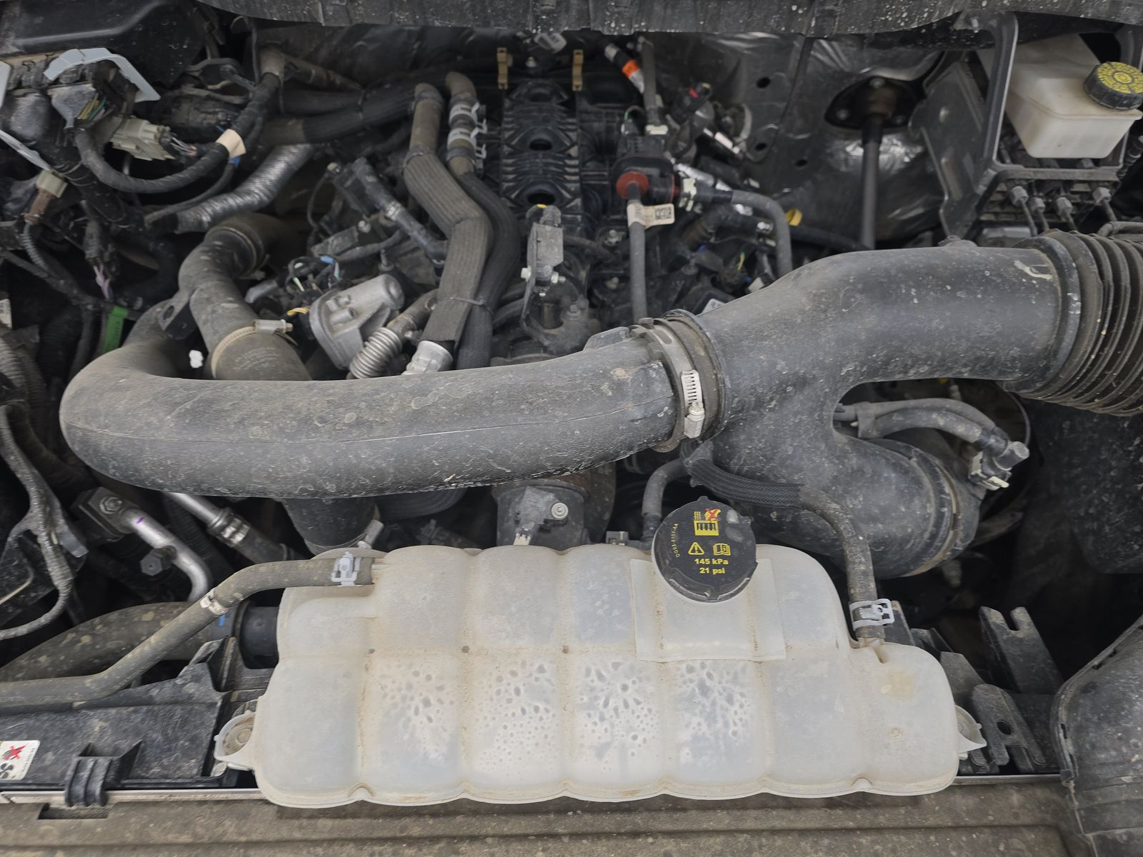 2024 Ford F-150 XLT AWD