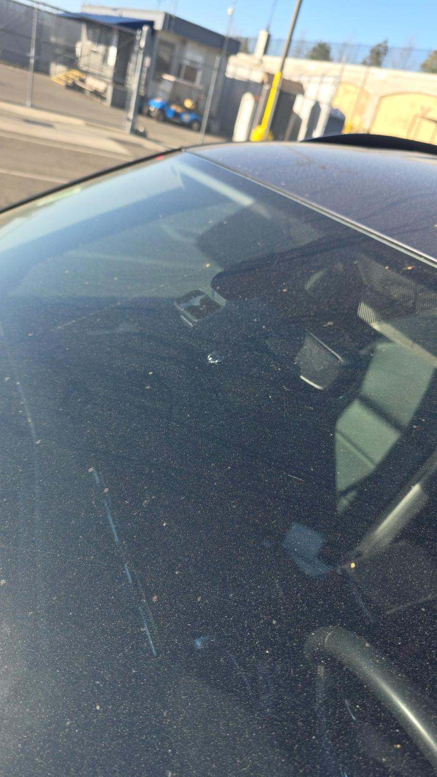 2021 Volkswagen Tiguan 2.0T SE FWD