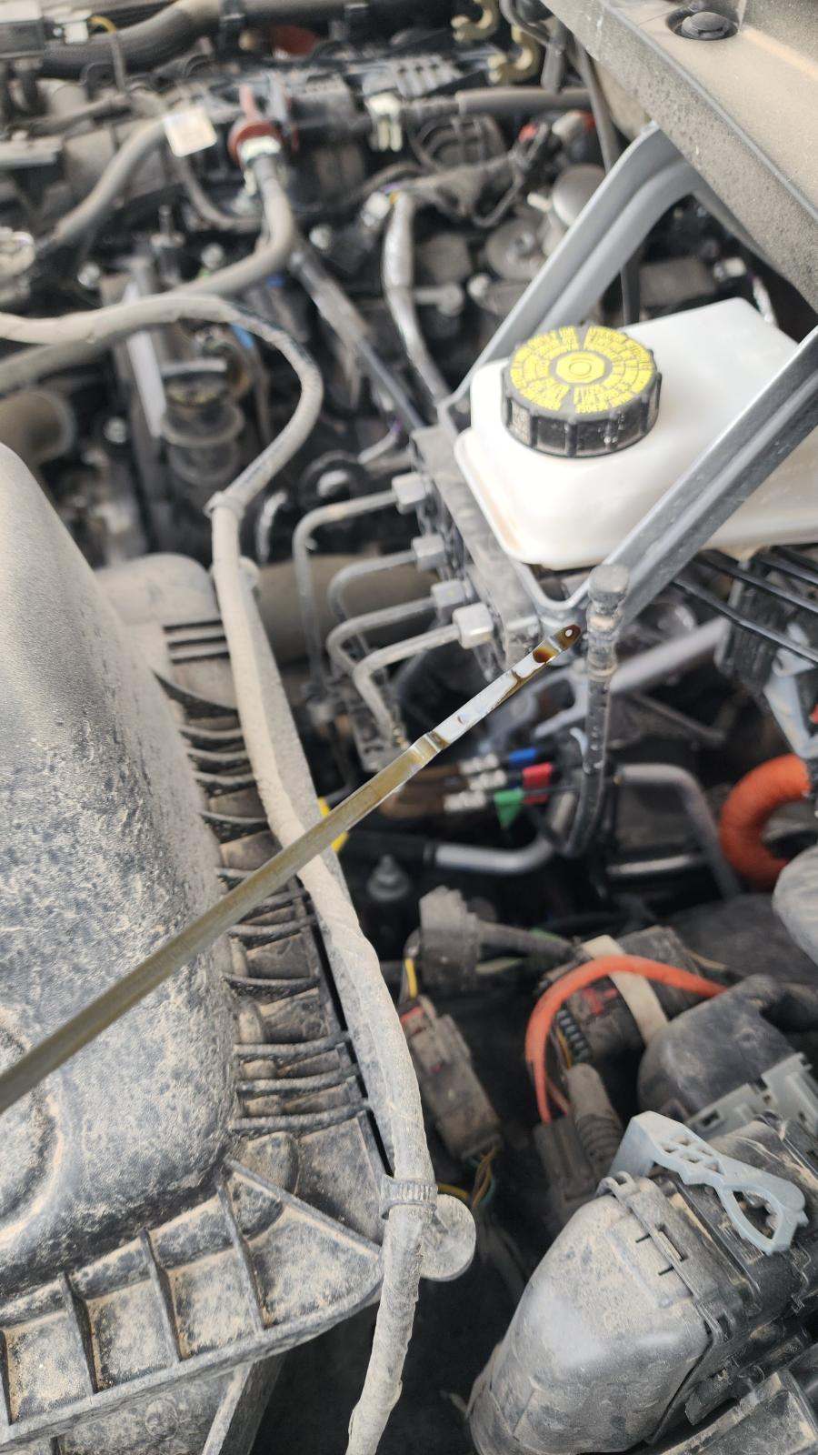 2025 Ford F-150 Hybrid XLT AWD