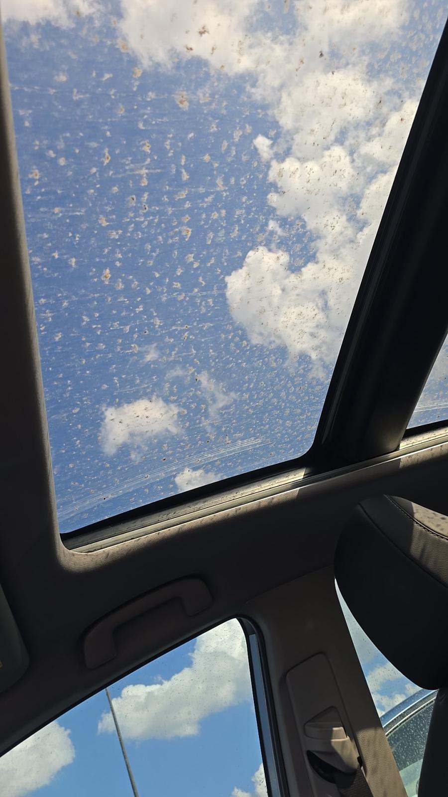 2023 Toyota Camry XSE FWD