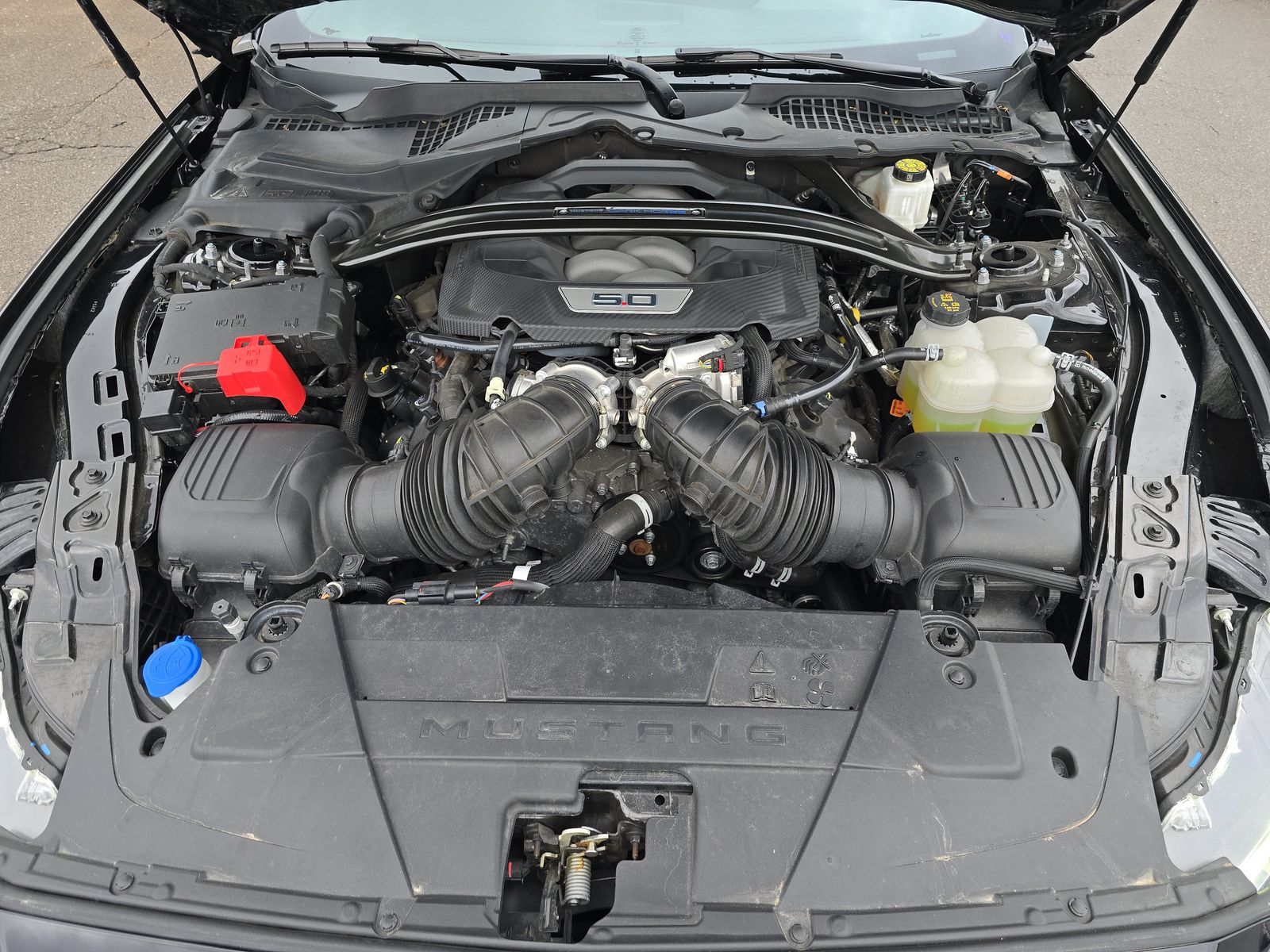 2024 Ford Mustang Dark Horse RWD