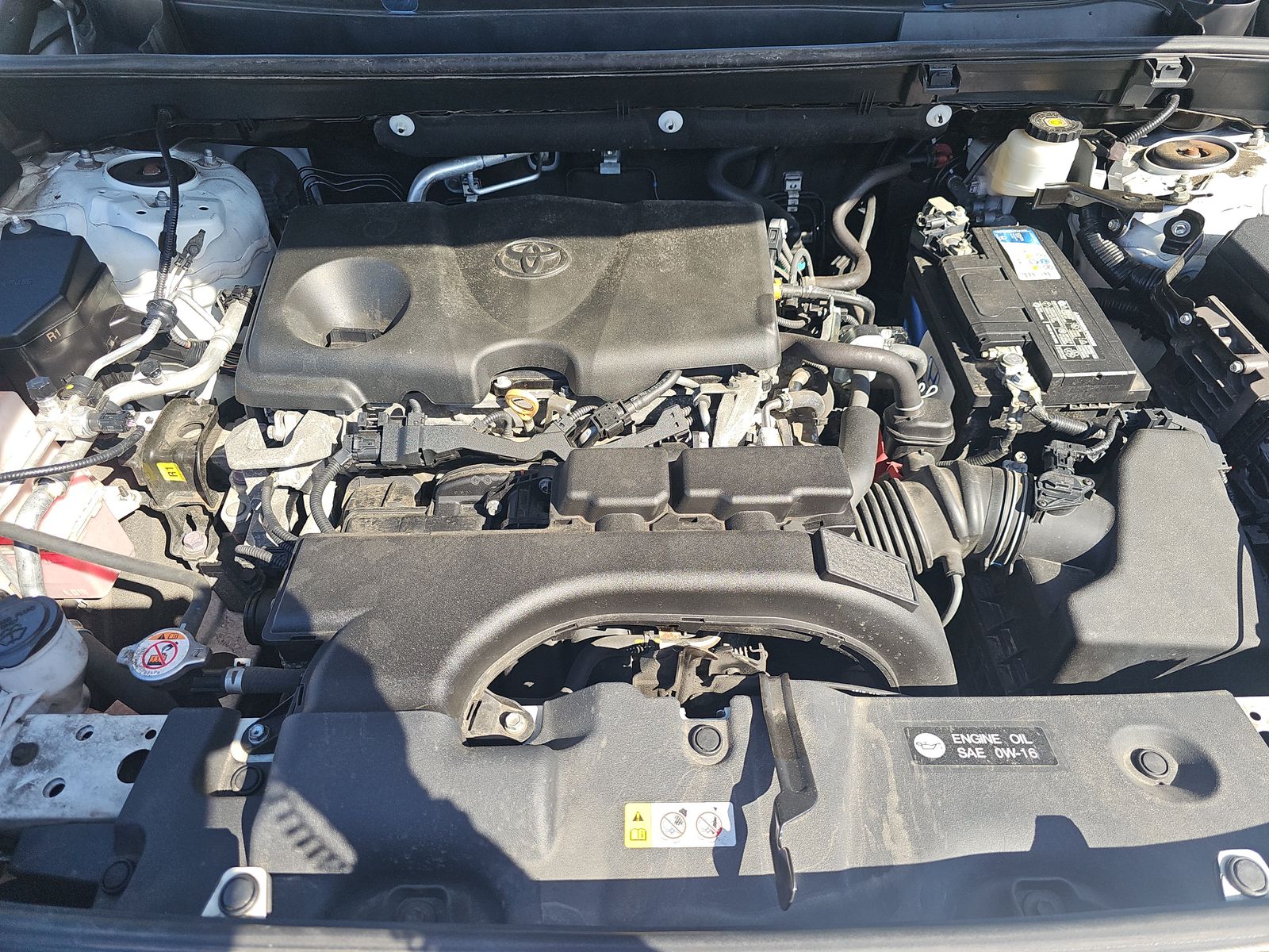 2020 Toyota RAV4 XLE AWD