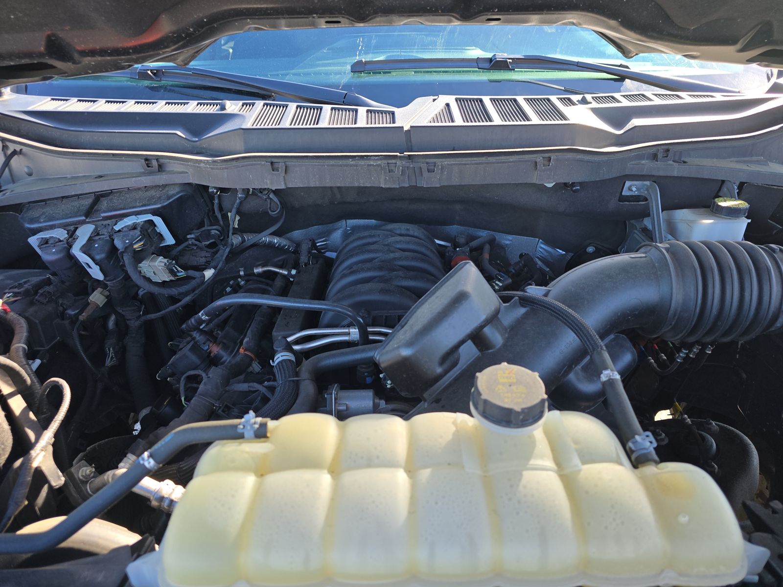 2023 Ford F-150 XLT RWD