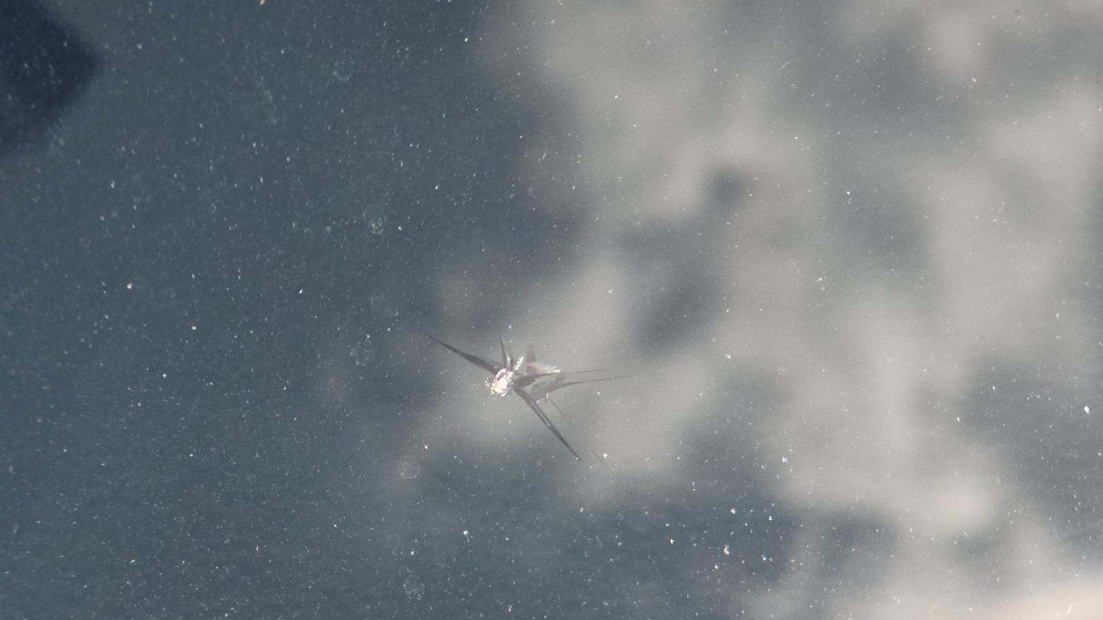 2020 Toyota RAV4 XLE AWD