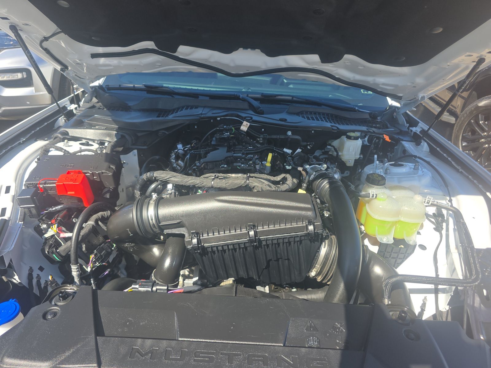 2025 Ford Mustang EcoBoost RWD