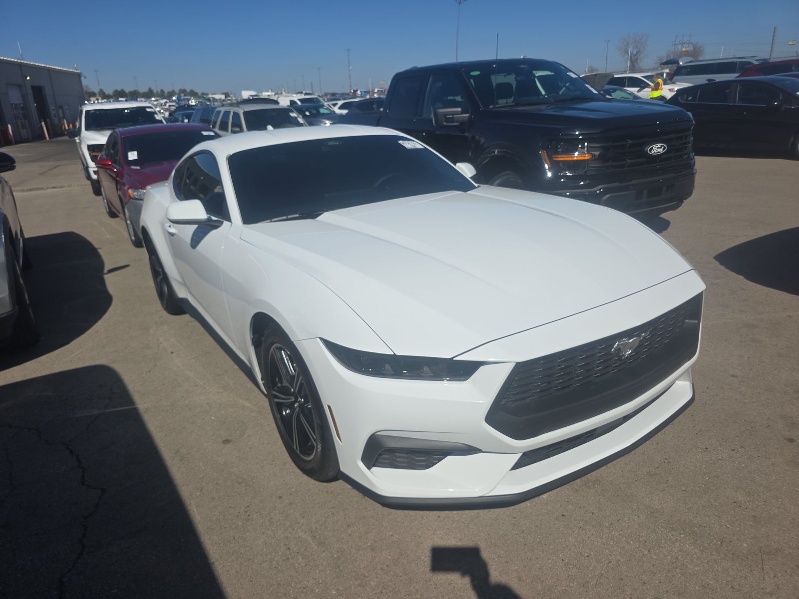 2025 Ford Mustang EcoBoost RWD