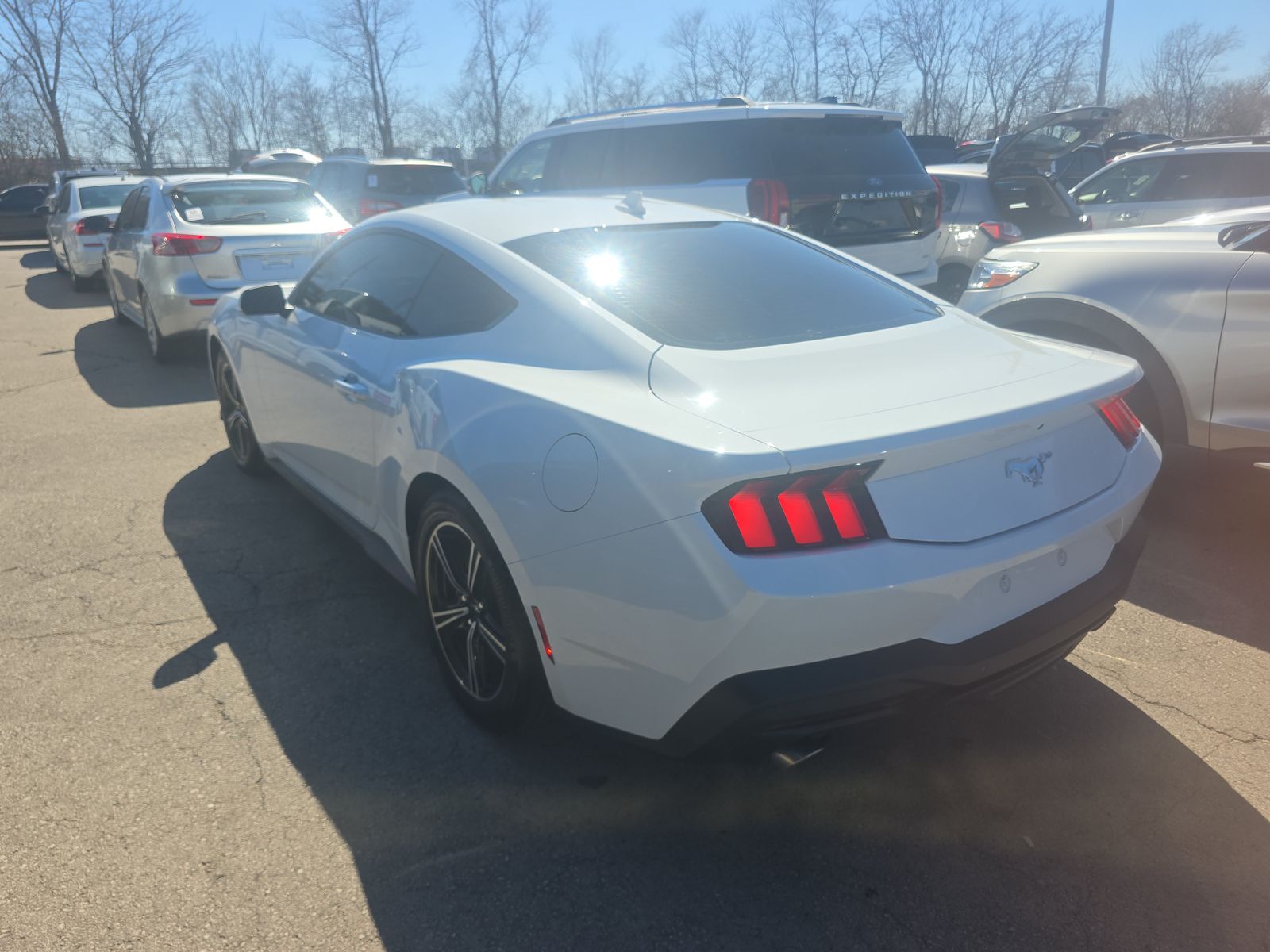 2025 Ford Mustang EcoBoost RWD