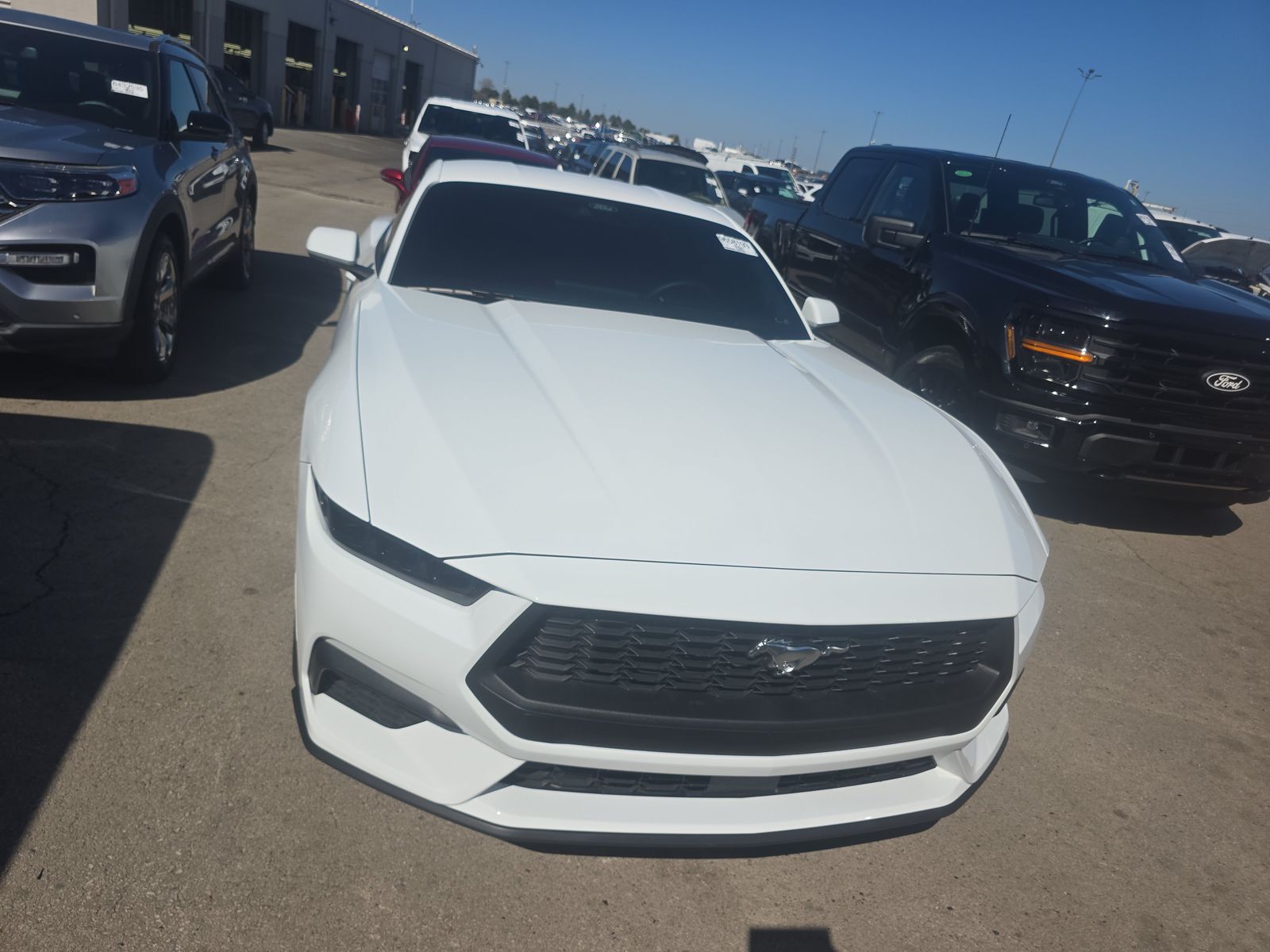 2025 Ford Mustang EcoBoost RWD