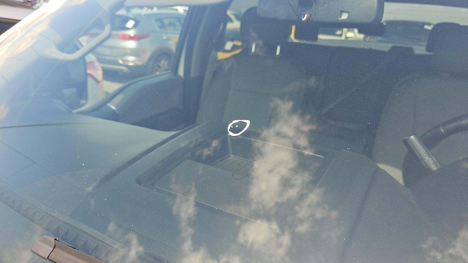 2019 Ford F-150 XLT AWD