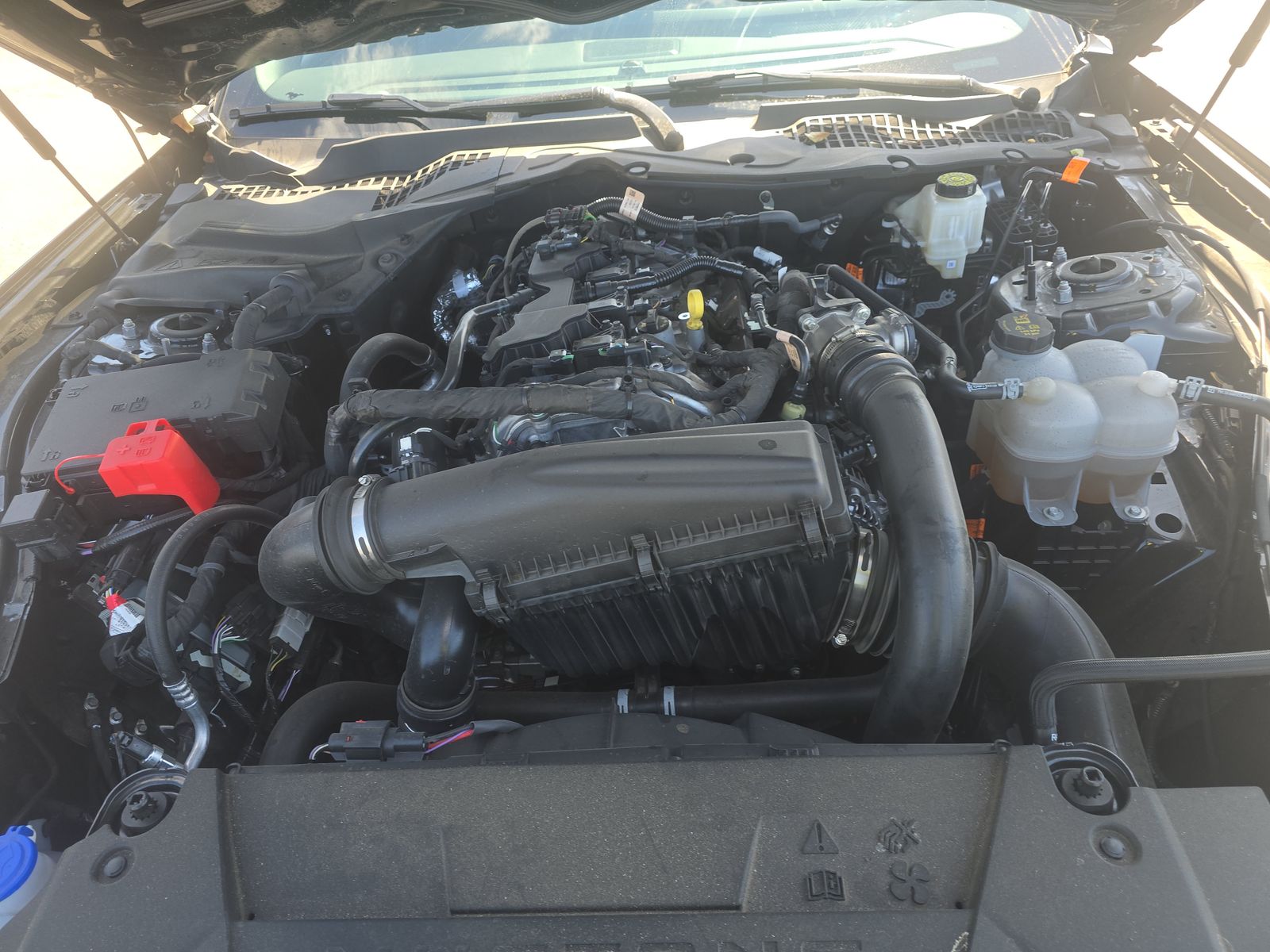 2025 Ford Mustang EcoBoost Premium RWD