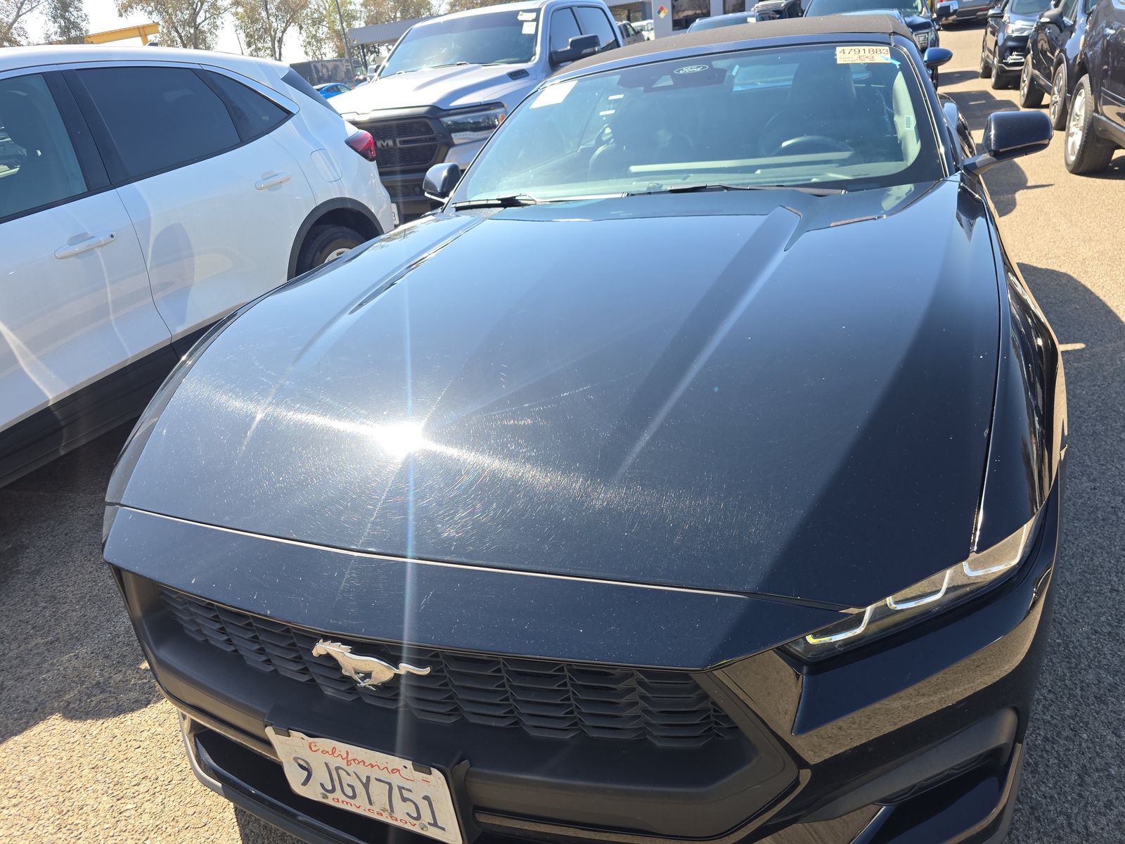 2024 Ford Mustang EcoBoost Premium RWD