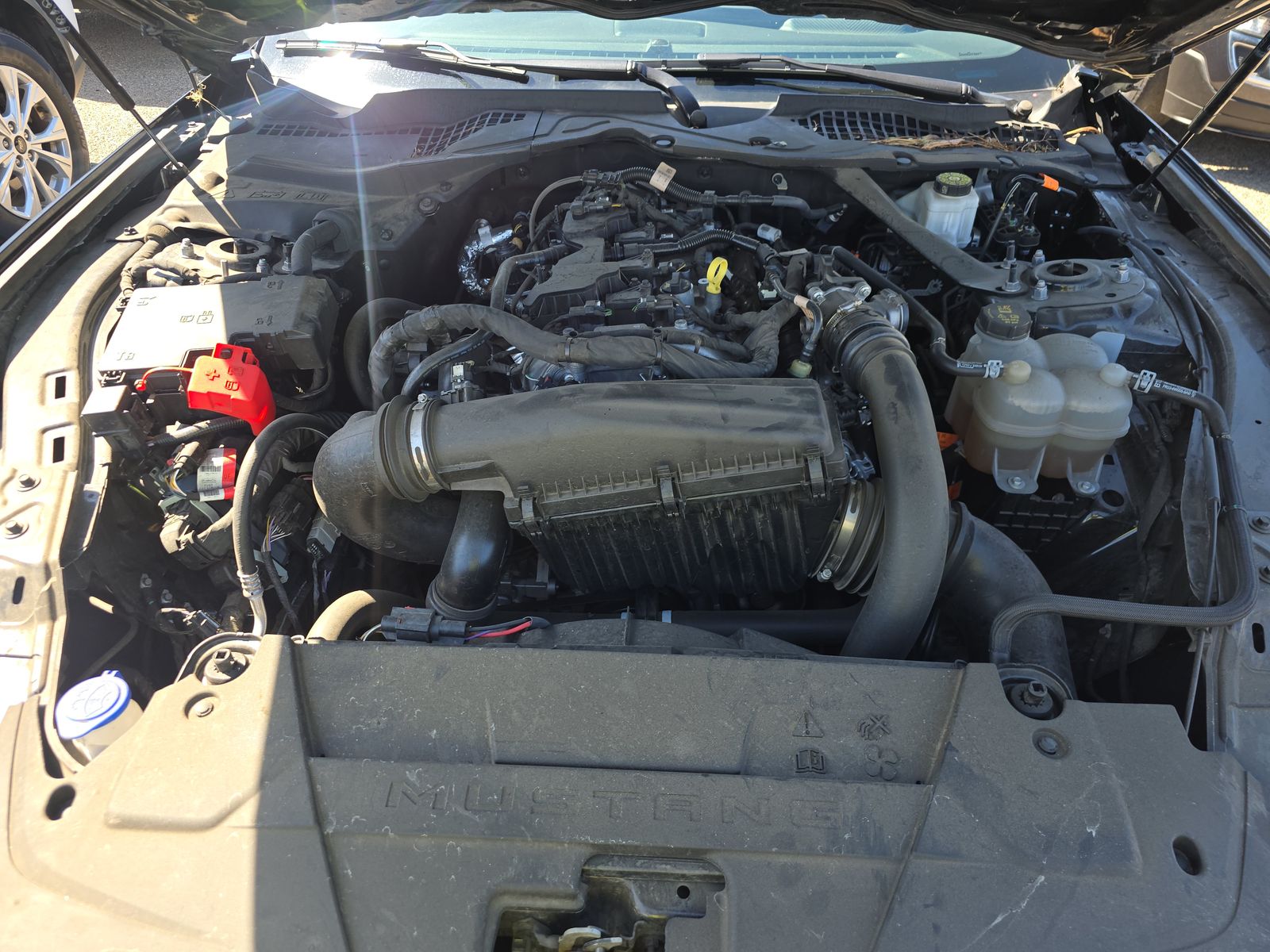 2024 Ford Mustang EcoBoost Premium RWD