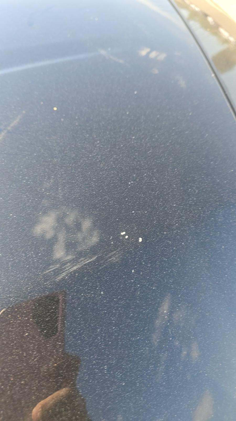 2025 Ford Mustang EcoBoost Premium RWD