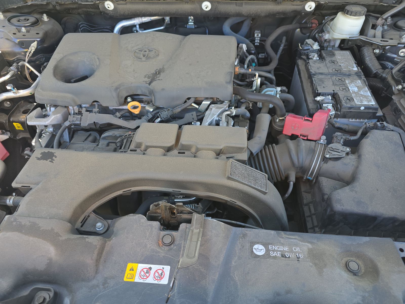 2021 Toyota RAV4 XLE FWD