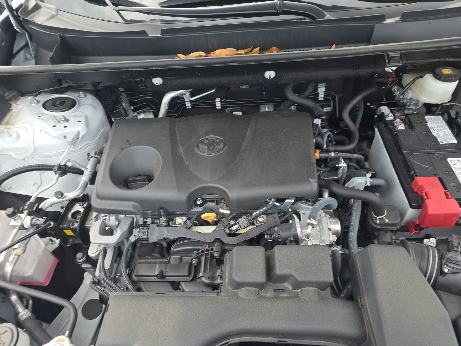 2024 Toyota RAV4 XLE FWD