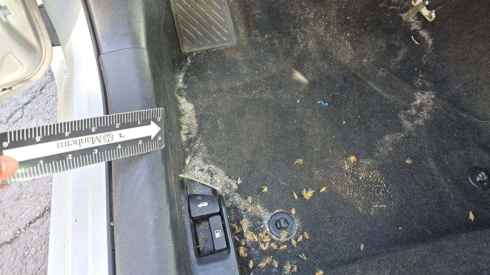 2025 Toyota Corolla LE FWD