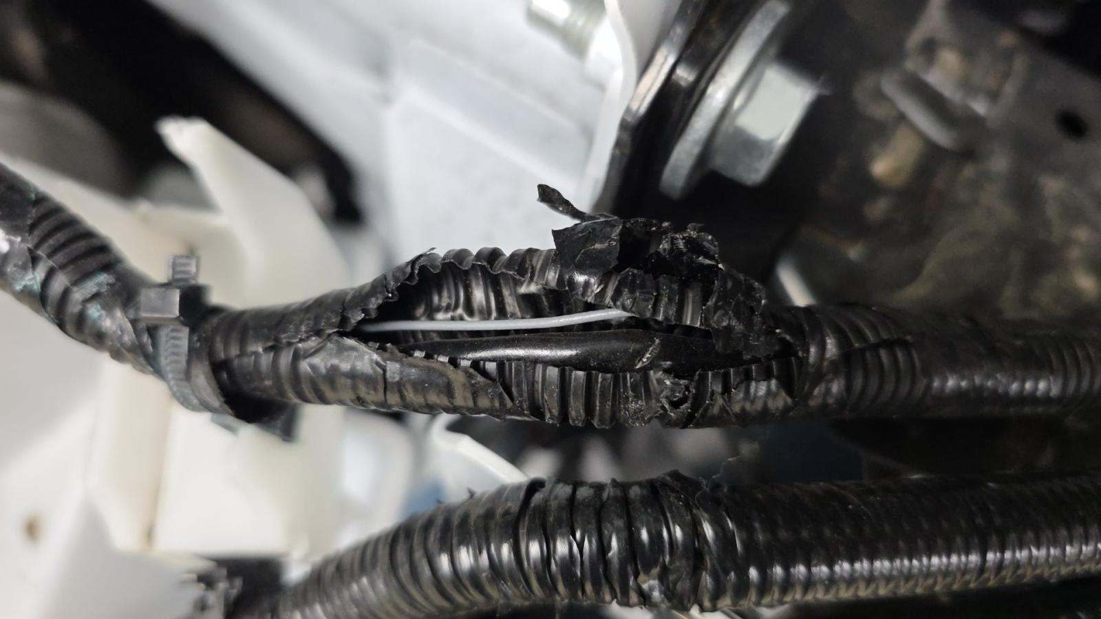 2024 Nissan Rogue SV FWD