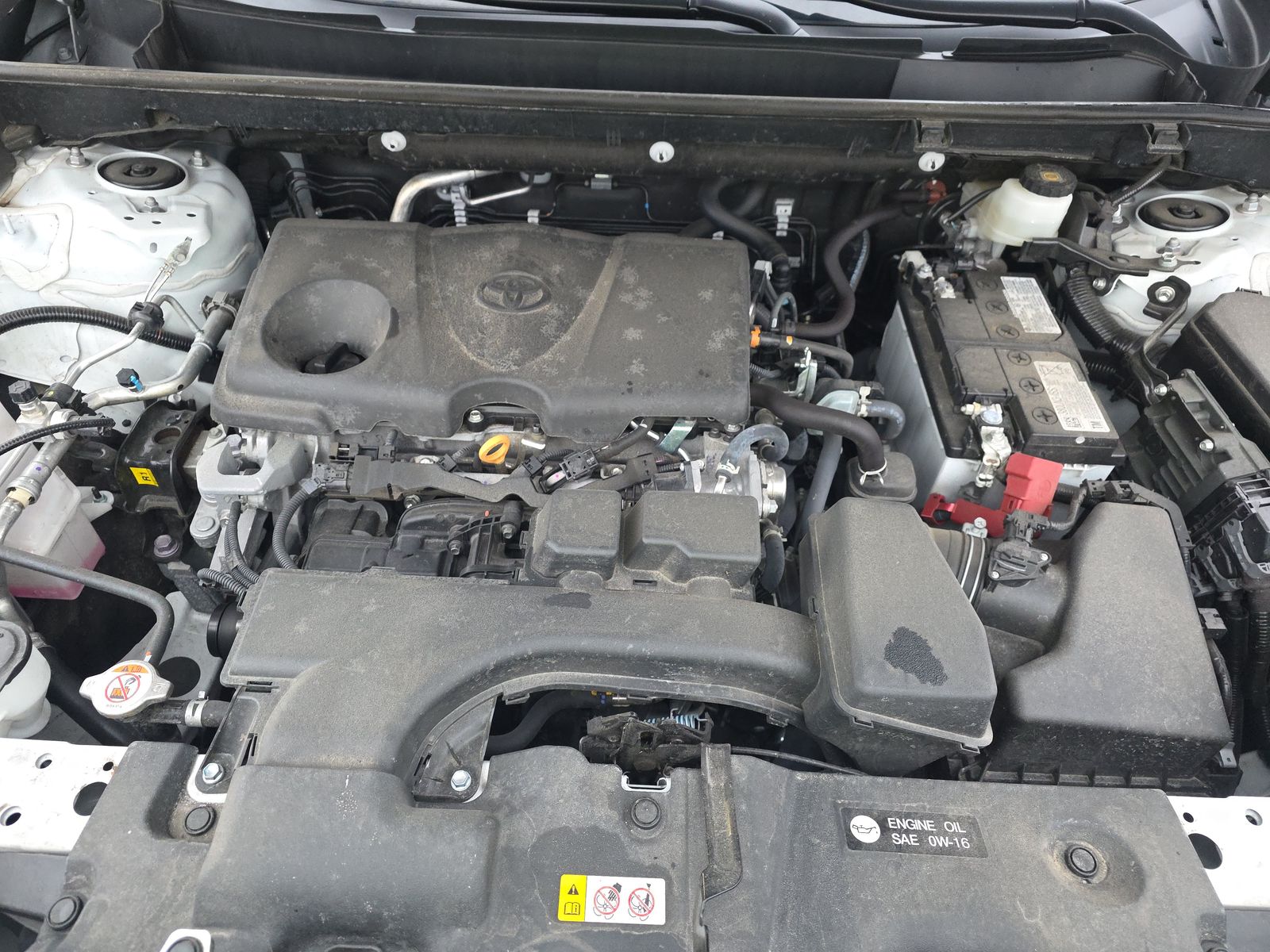 2025 Toyota RAV4 LE FWD