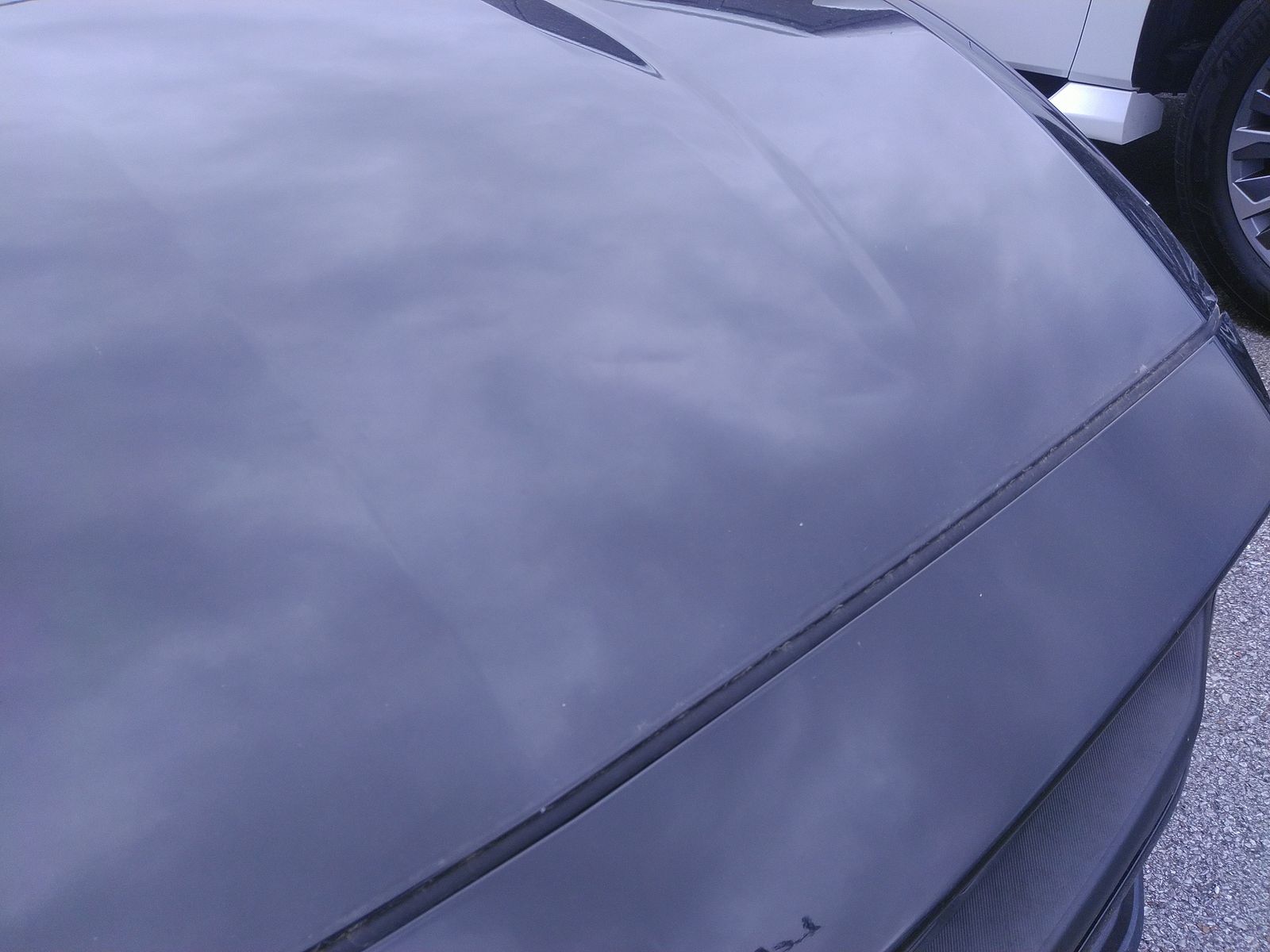 2024 Ford Mustang EcoBoost Premium RWD