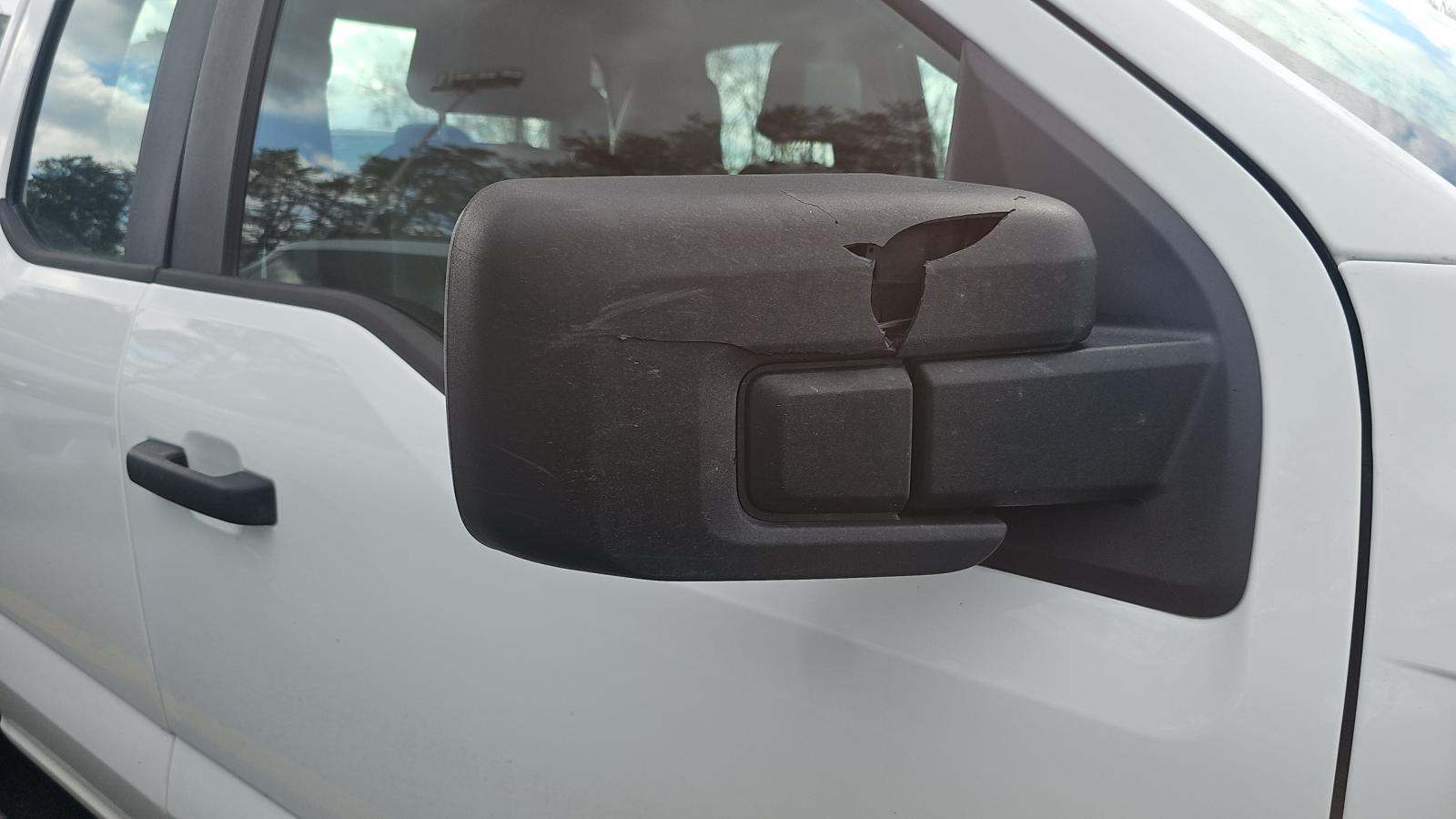 2024 Ford F-150 XL RWD