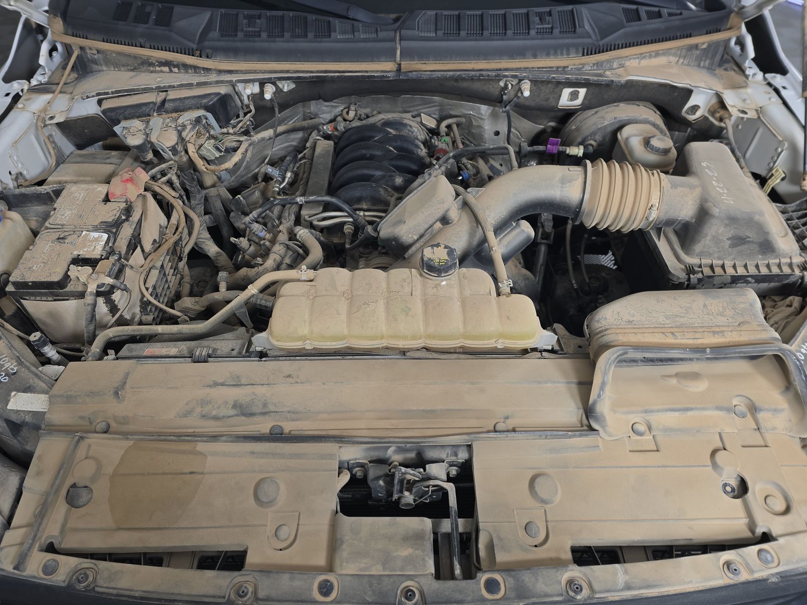 2019 Ford F-150 XL RWD