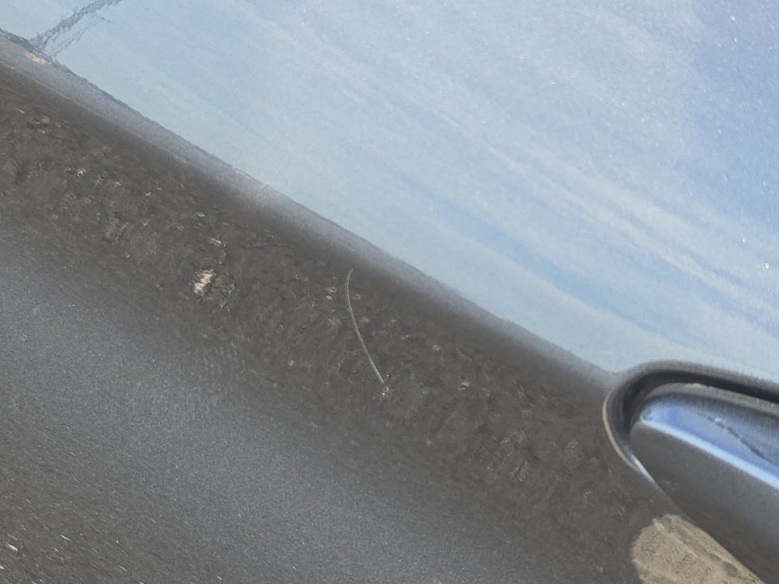 2019 BMW 4 Series 440i RWD