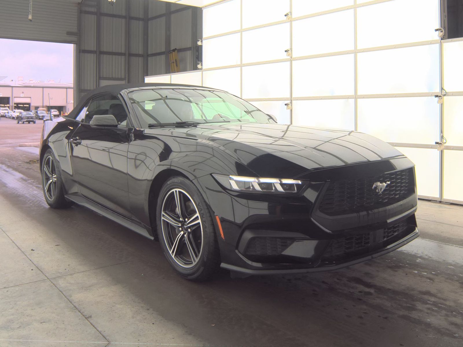 2024 Ford Mustang EcoBoost Premium RWD