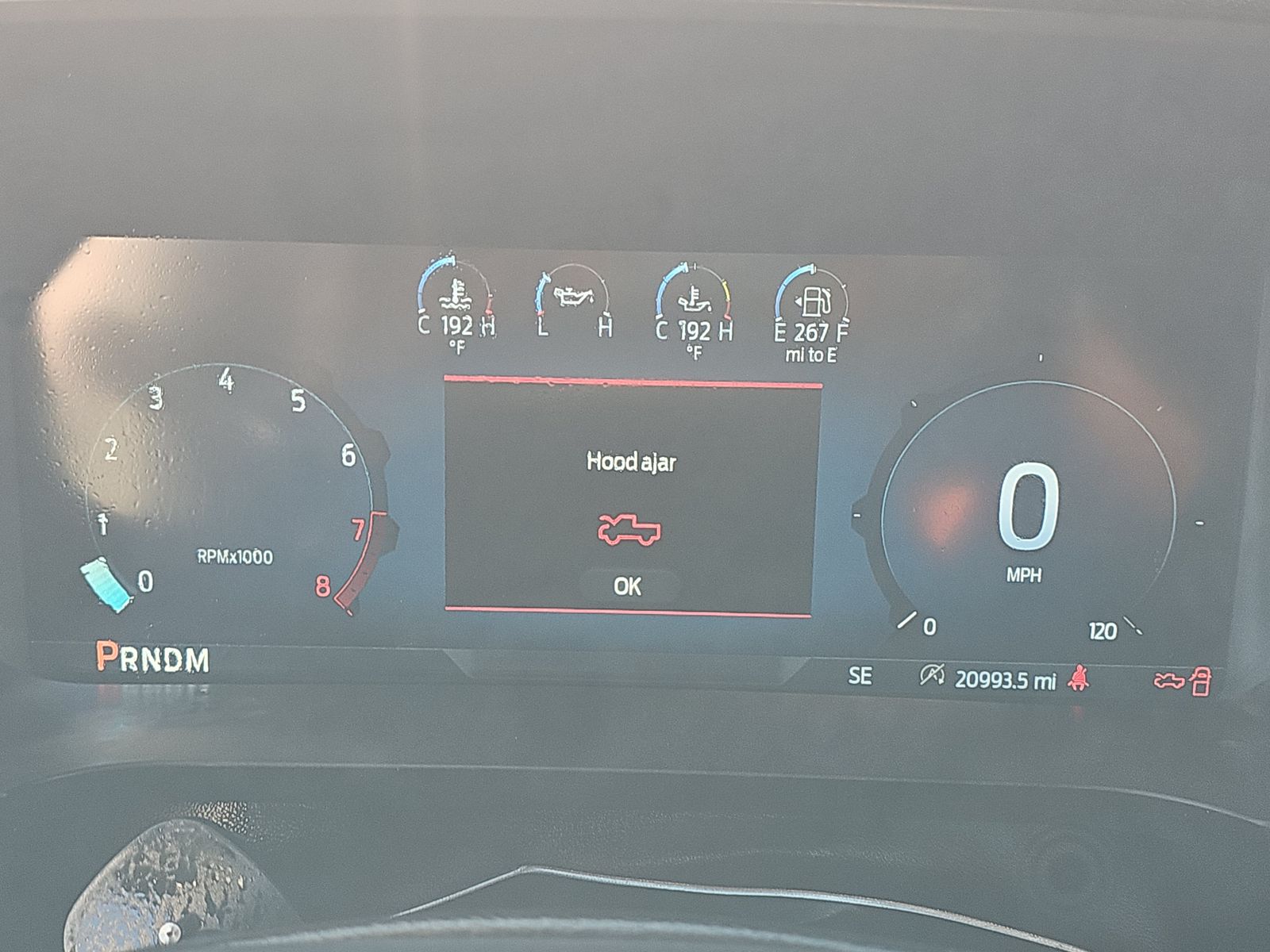 2024 Ford F-150 XLT RWD