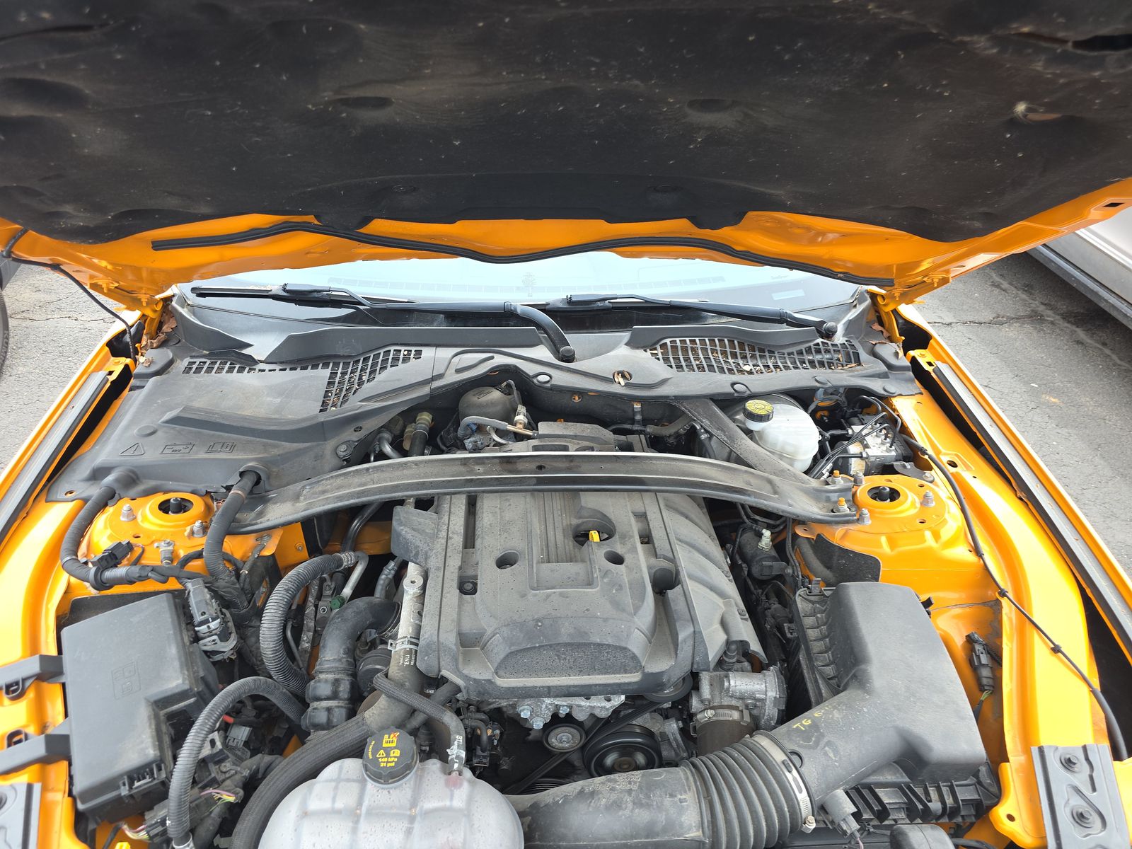 2018 Ford Mustang EcoBoost RWD