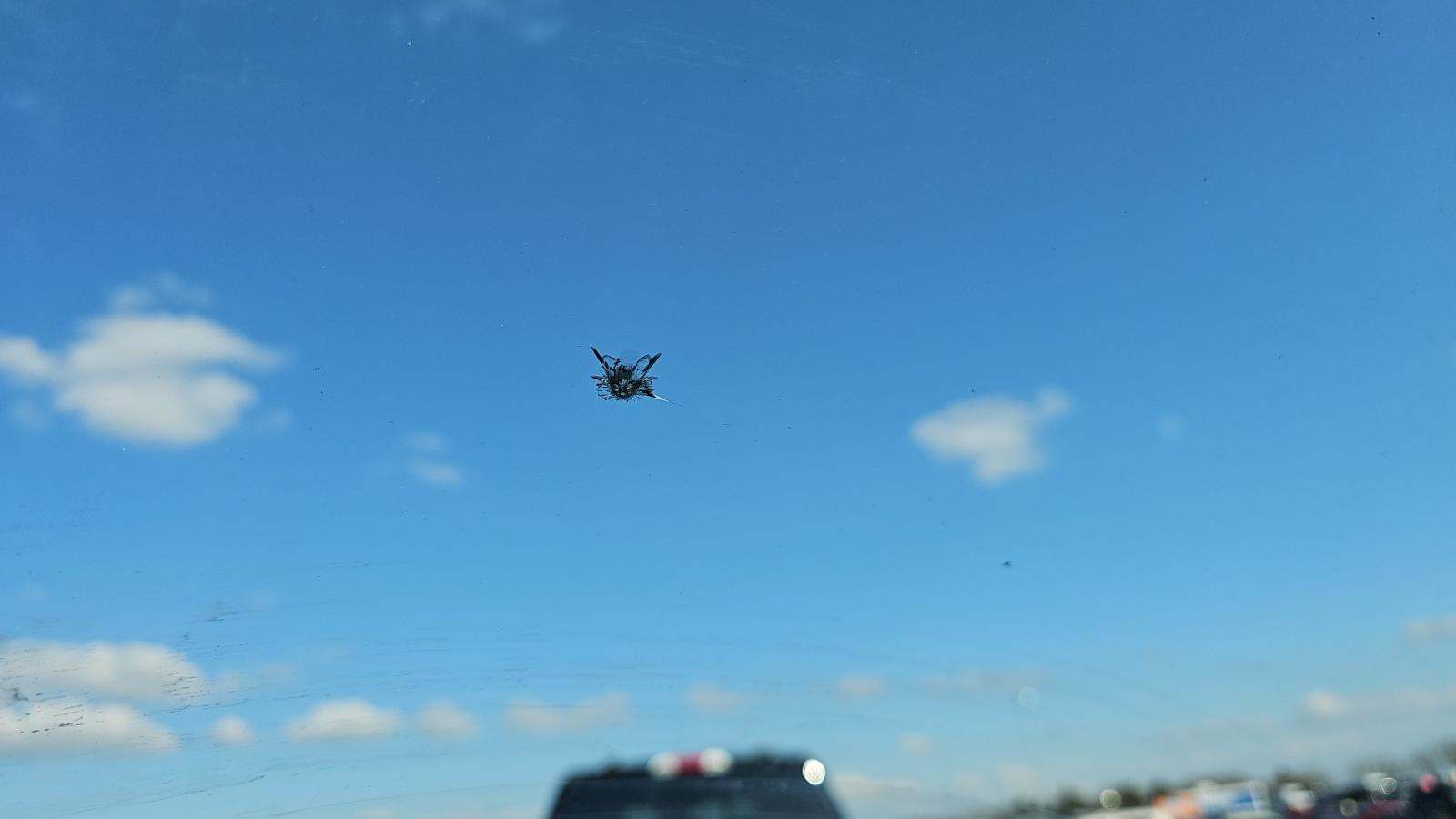 2024 Ford F-150 XLT AWD