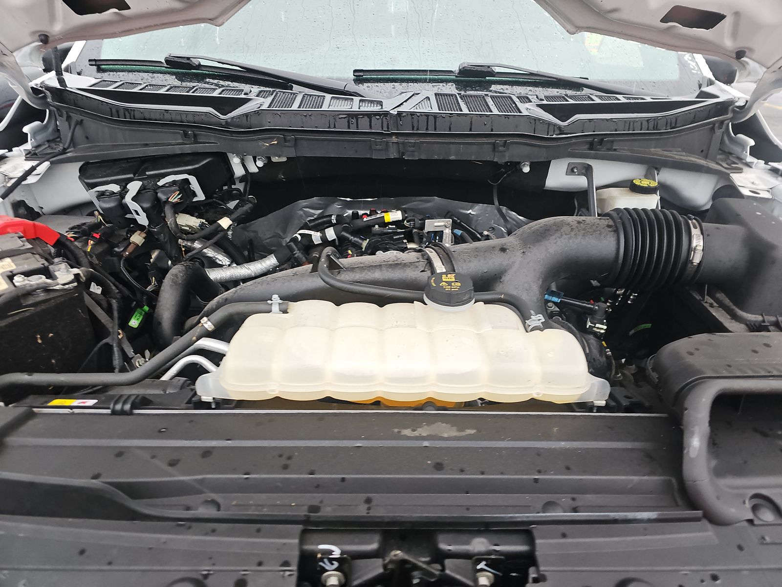 2023 Ford F-150 XL AWD