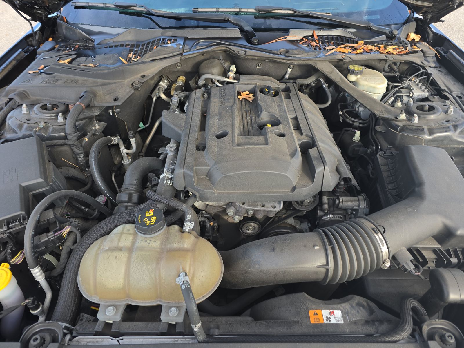 2016 Ford Mustang EcoBoost Premium RWD