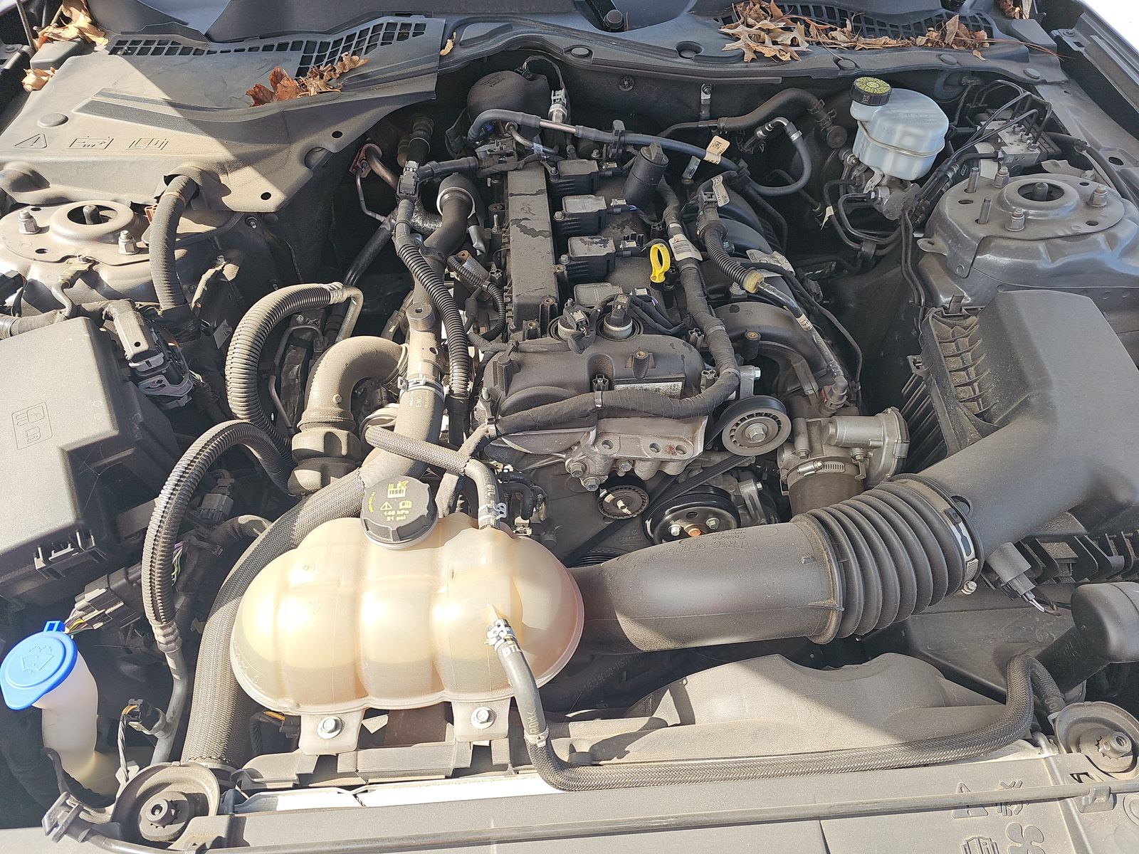 2021 Ford Mustang EcoBoost RWD