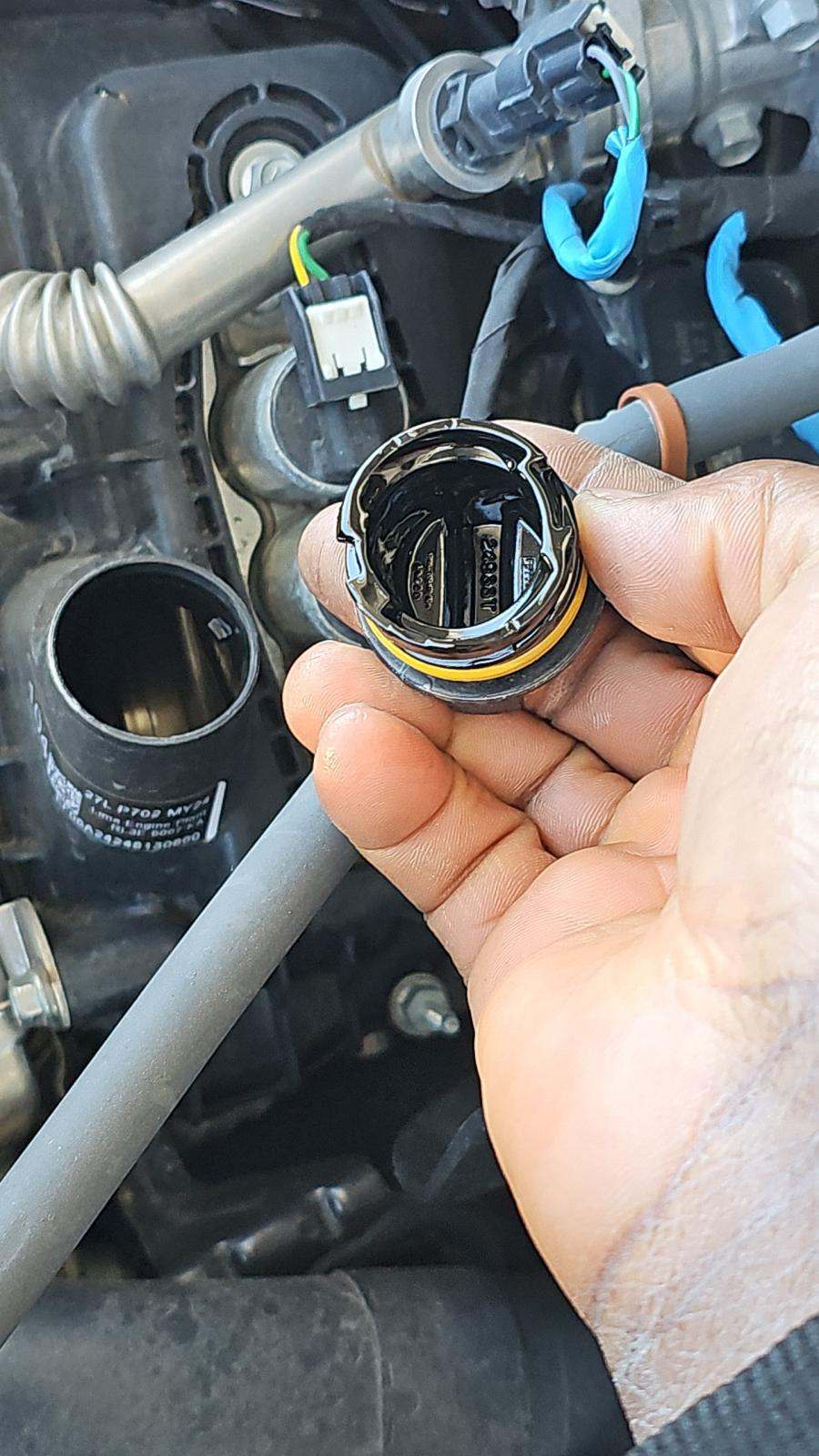 2024 Ford F-150 XLT AWD