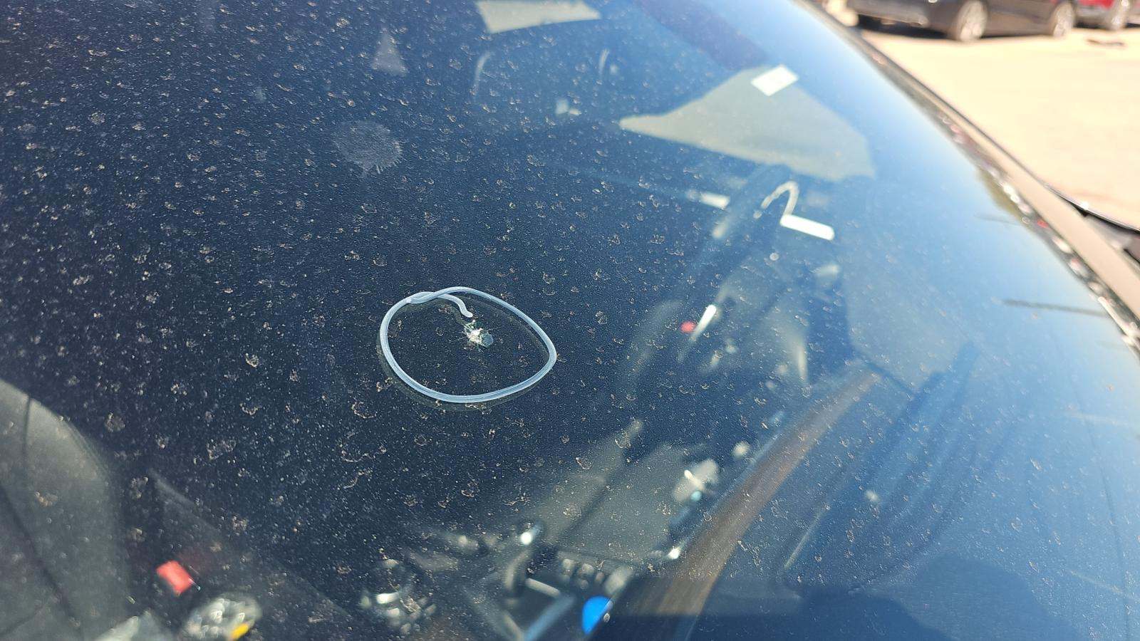 2019 BMW 4 Series 430i RWD