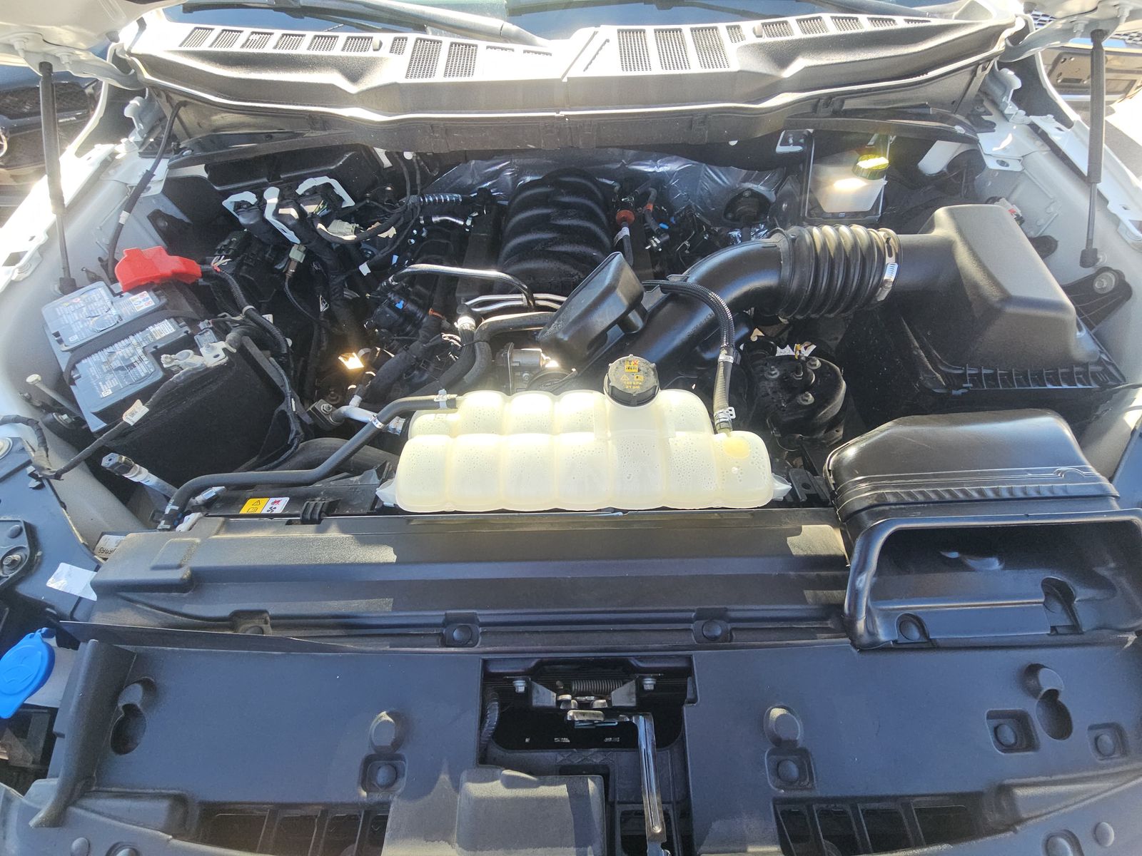 2024 Ford F-150 XL RWD