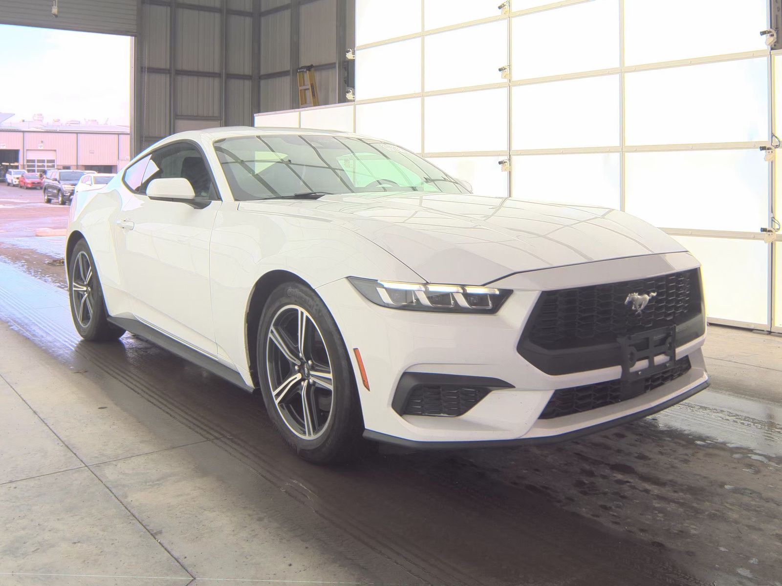 2024 Ford Mustang EcoBoost Premium RWD