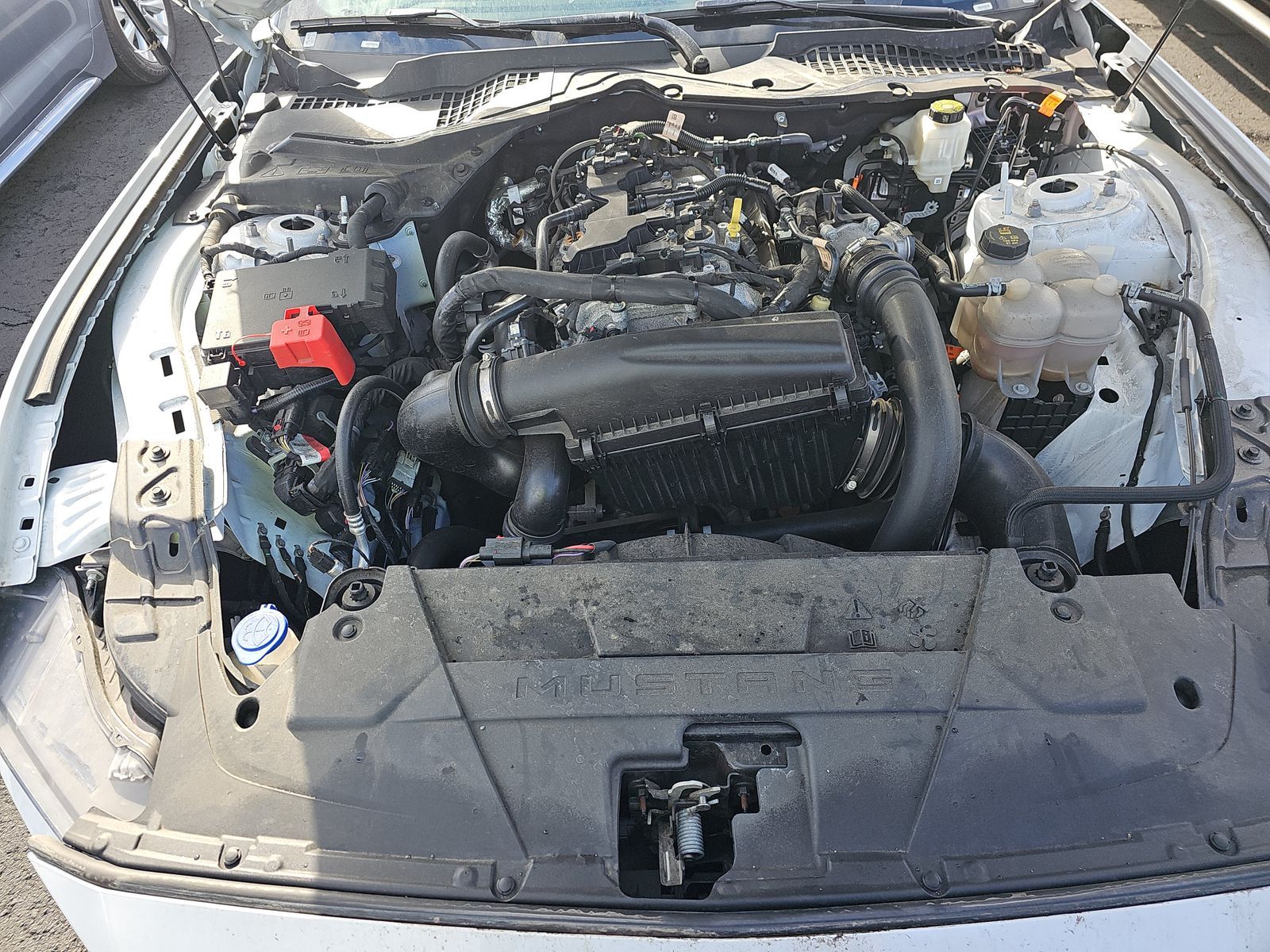 2024 Ford Mustang EcoBoost Premium RWD