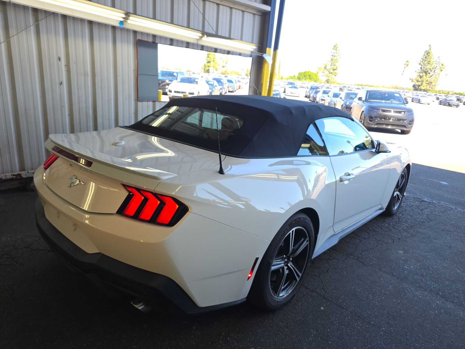 2024 Ford Mustang EcoBoost Premium RWD