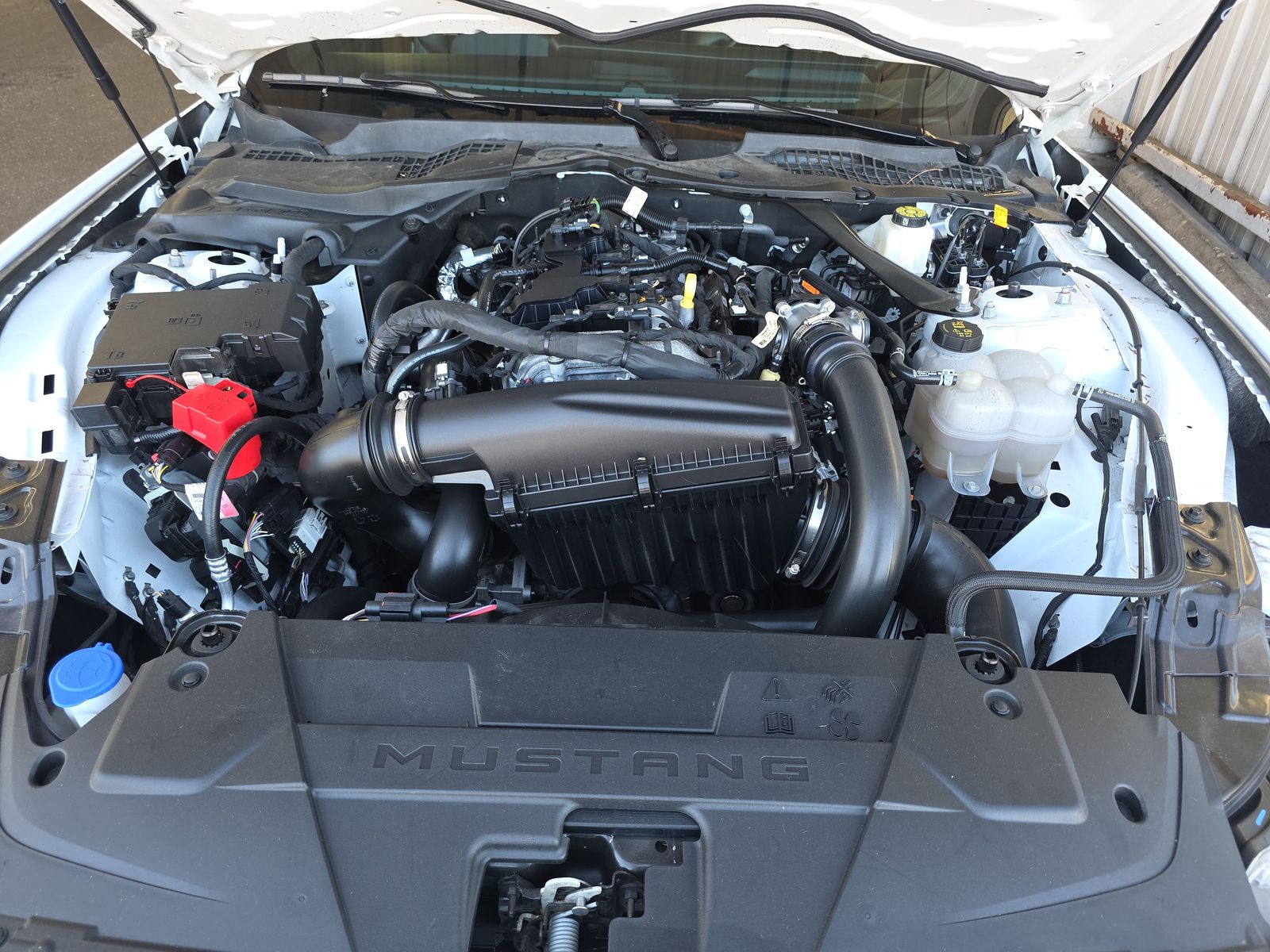 2024 Ford Mustang EcoBoost Premium RWD