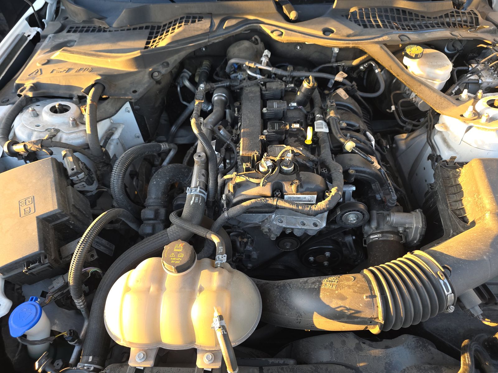 2023 Ford Mustang EcoBoost FWD