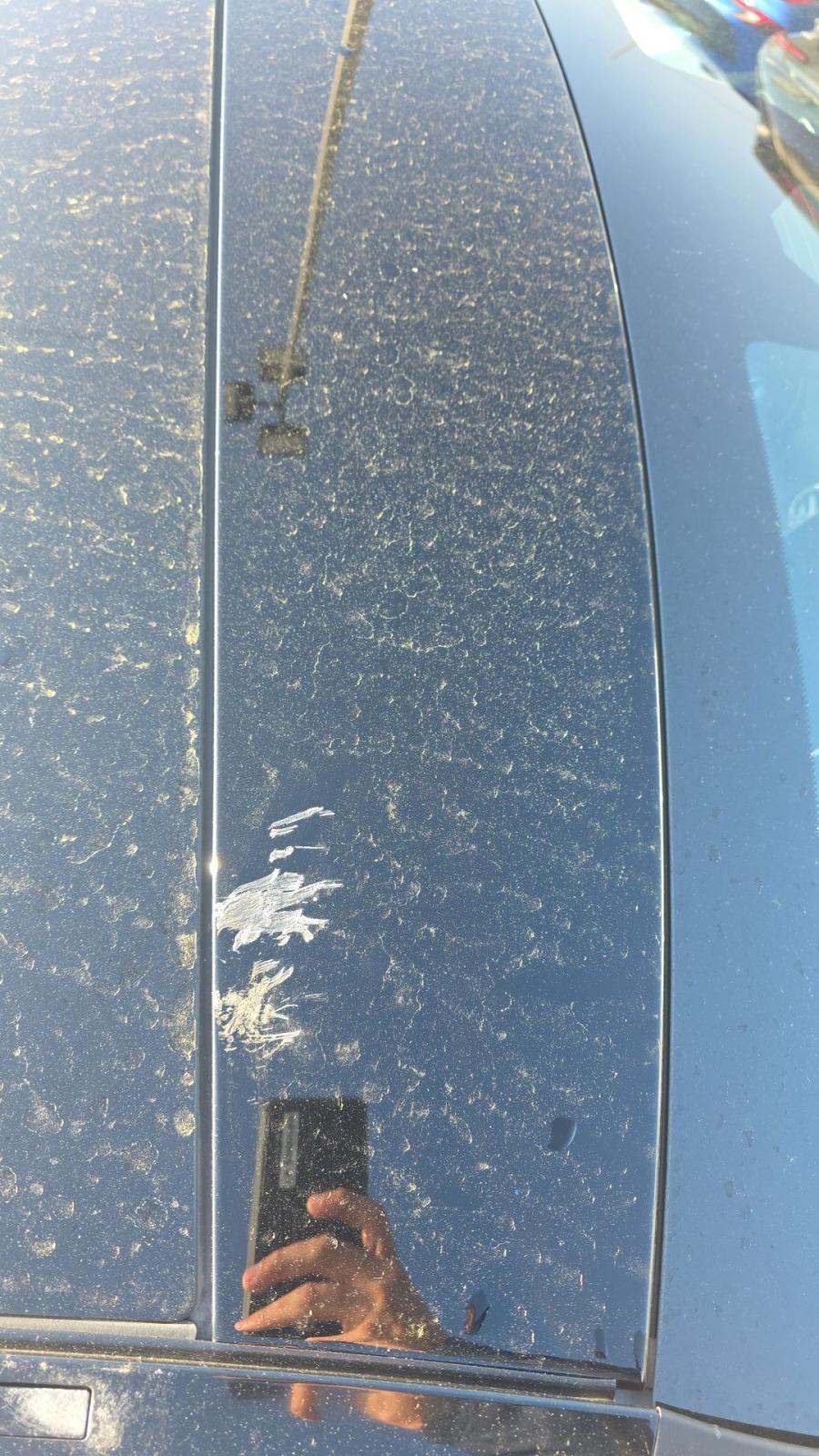 2025 Mercedes-Benz C-Class C 300 RWD