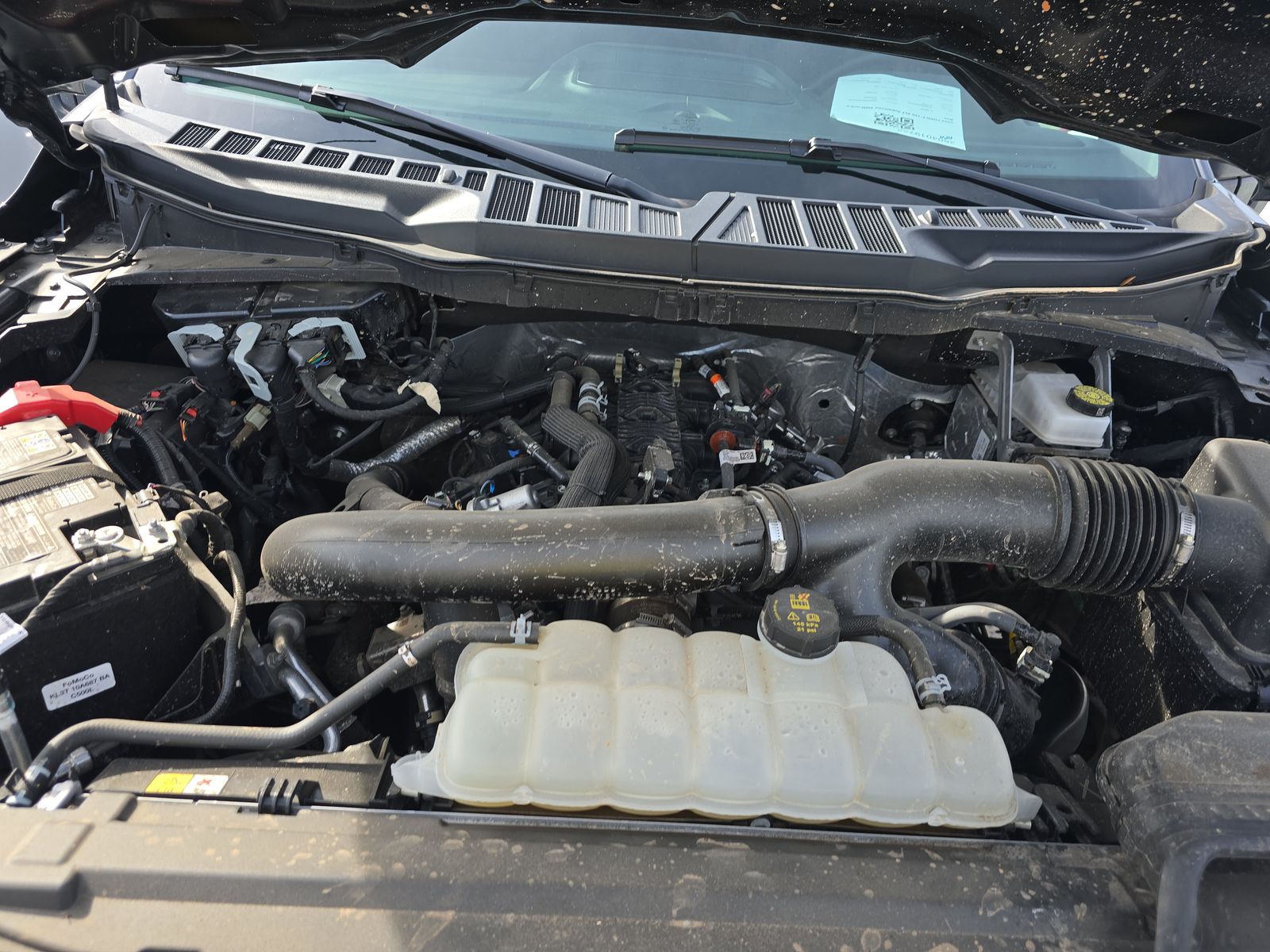 2025 Ford F-150 XLT AWD