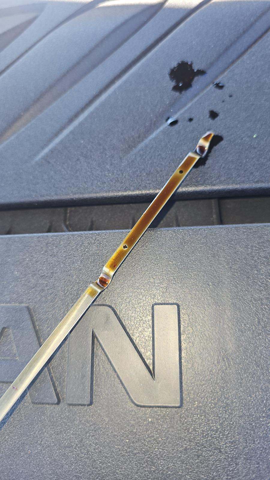 2025 Nissan Rogue SV FWD