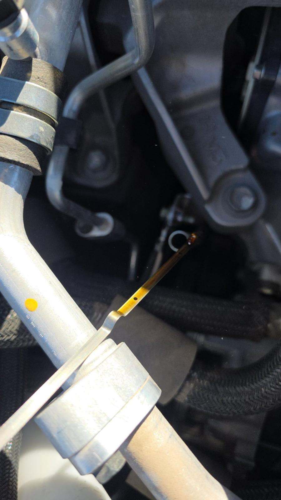 2025 Nissan Rogue SL FWD