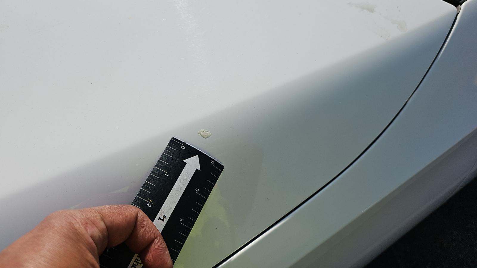 2025 Mercedes-Benz C-Class C 300 AWD