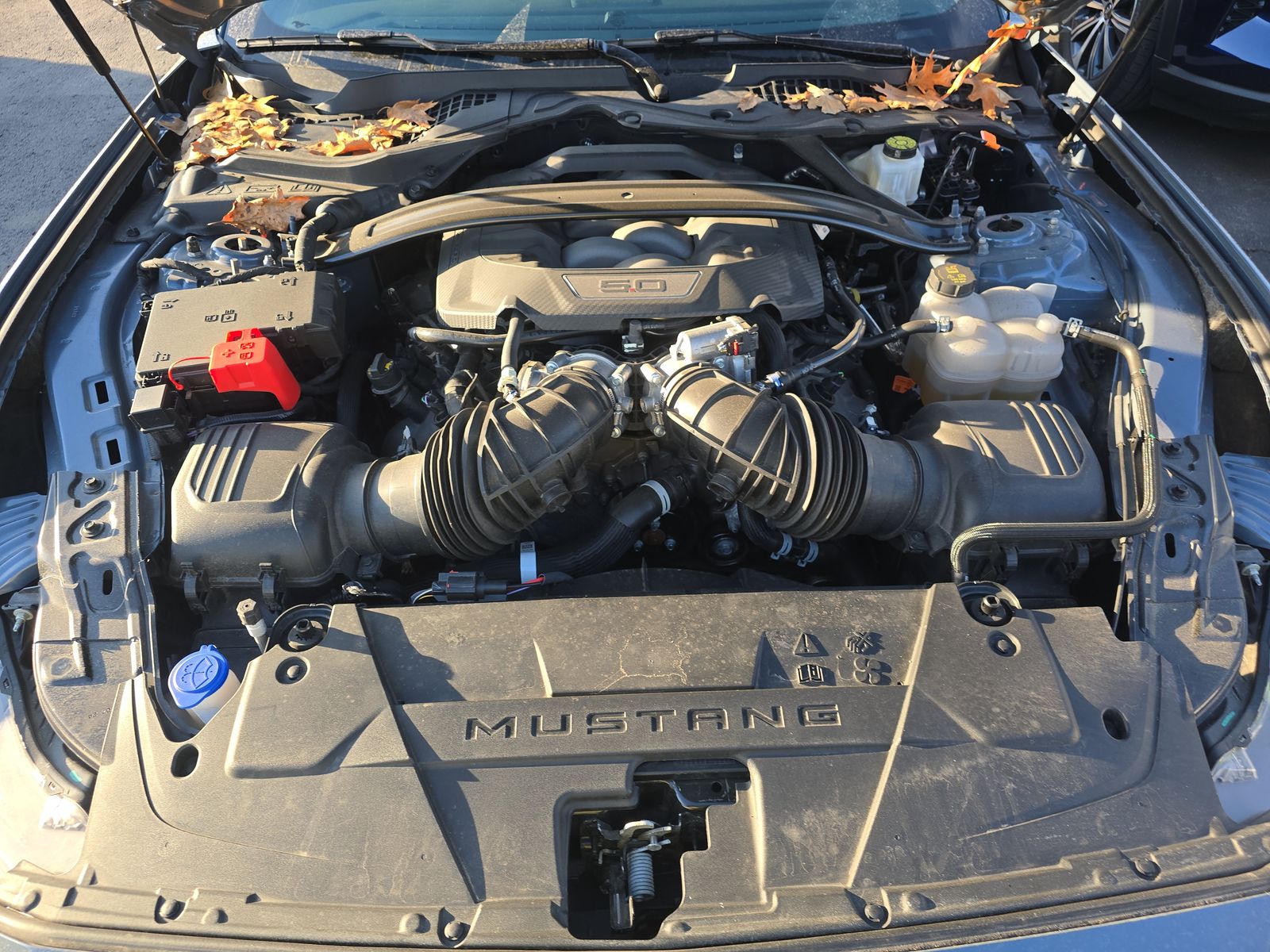 2025 Ford Mustang GT Premium RWD